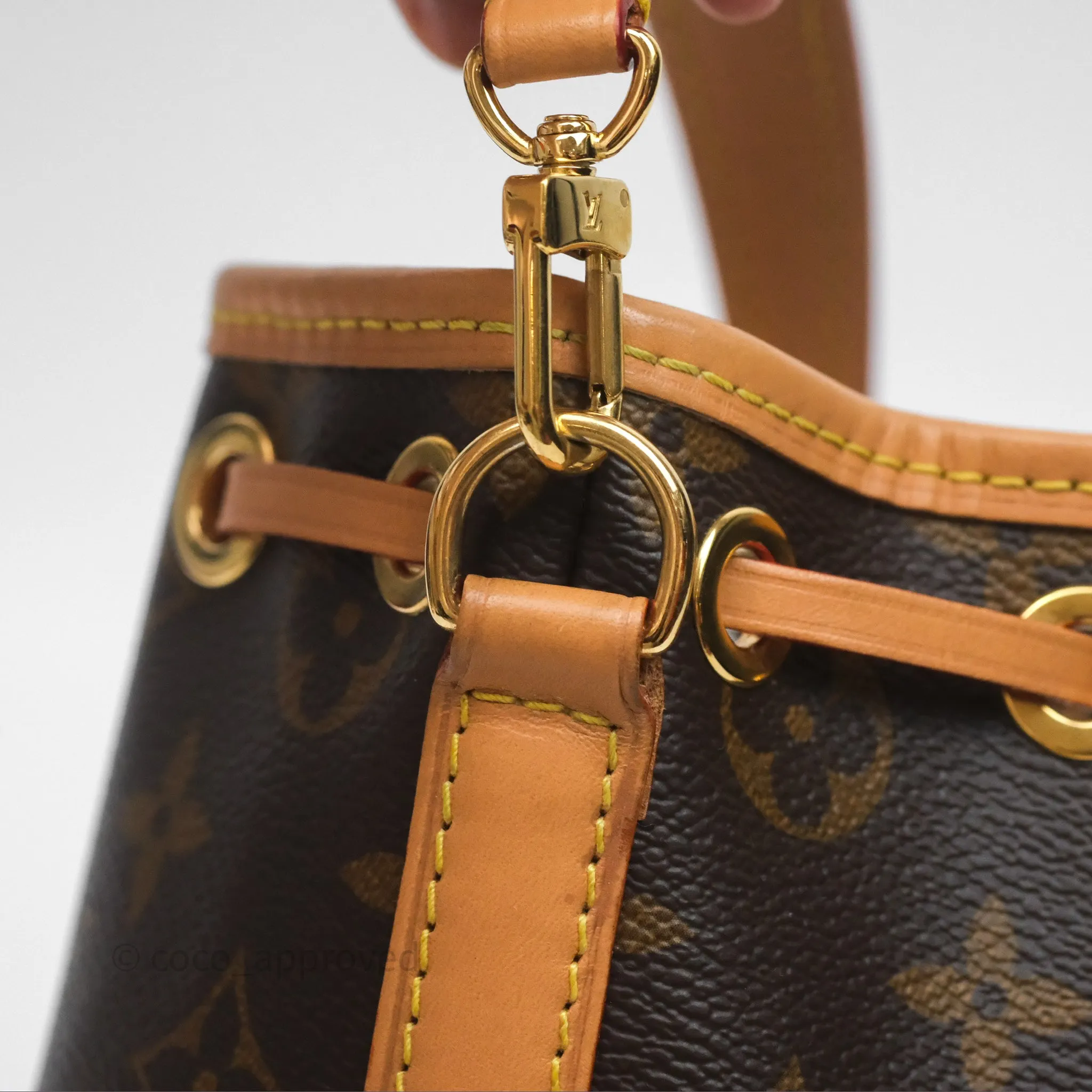 Louis Vuitton Nano Noe Monogram