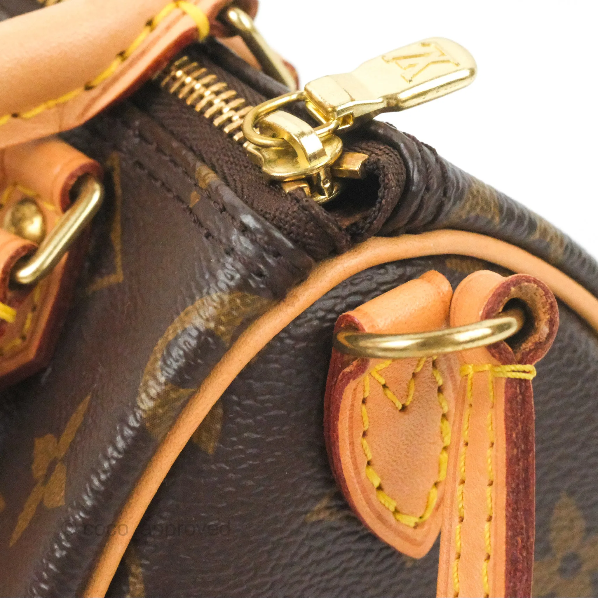 Louis Vuitton Nano Speedy Monogram