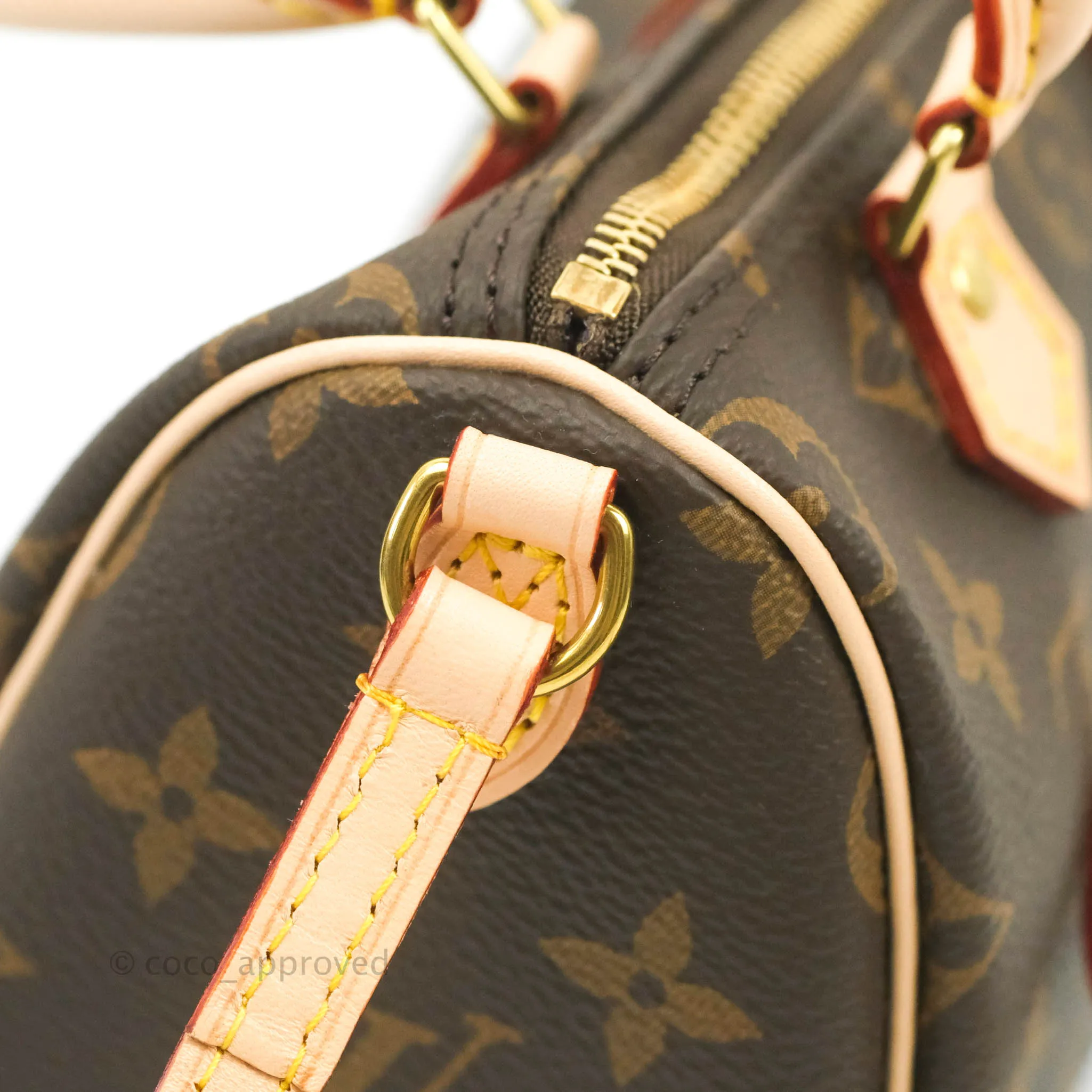 Louis Vuitton Nano Speedy Monogram