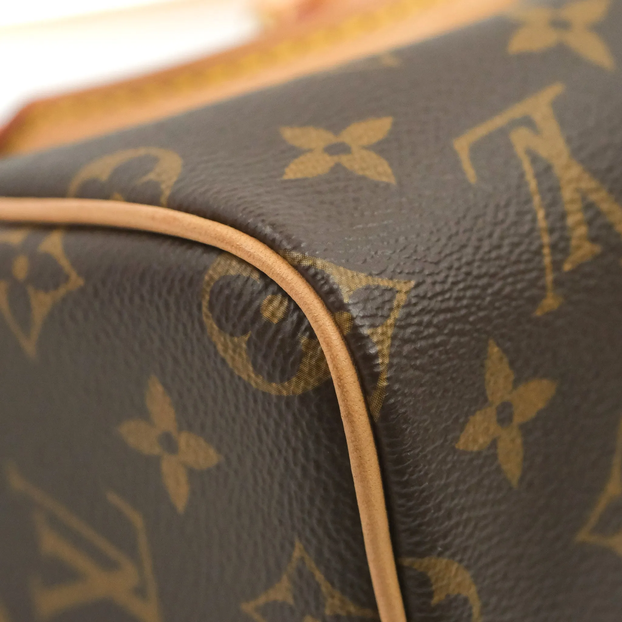 Louis Vuitton Nano Speedy Monogram
