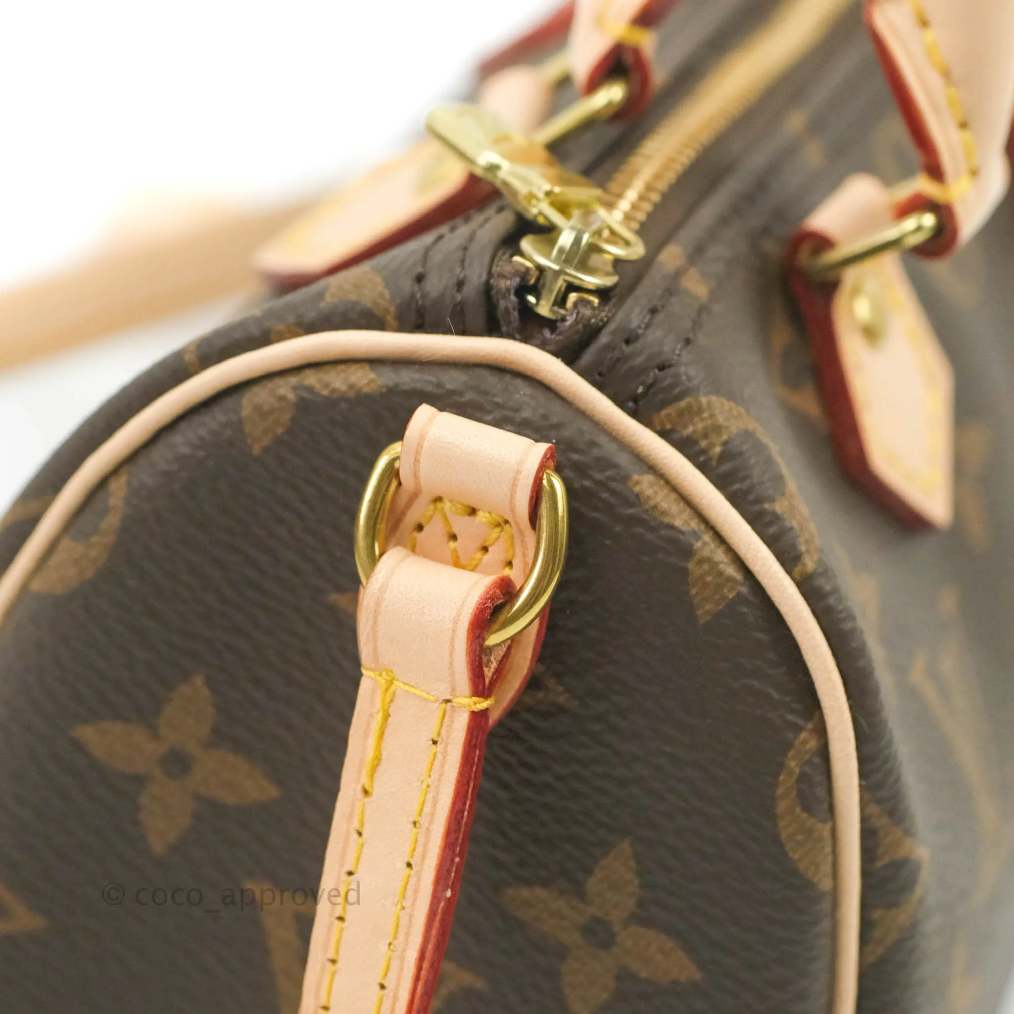 Louis Vuitton Nano Speedy Monogram