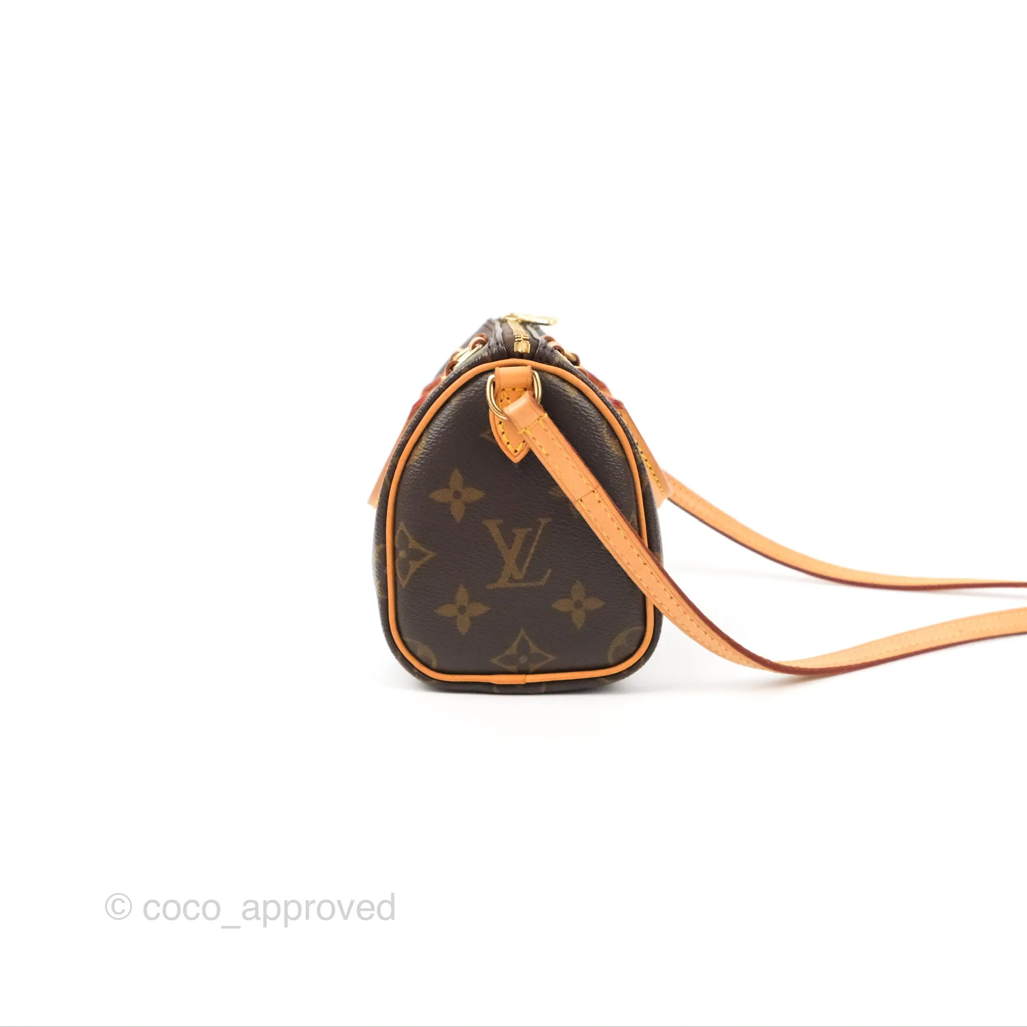Louis Vuitton Nano Speedy Monogram