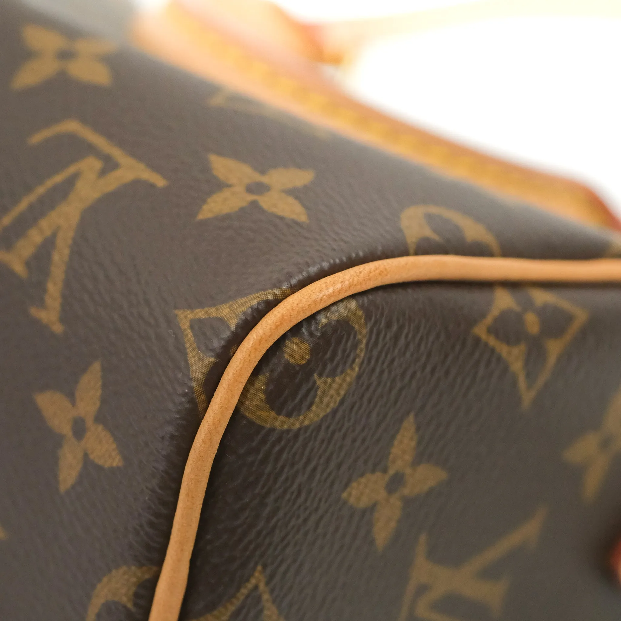 Louis Vuitton Nano Speedy Monogram