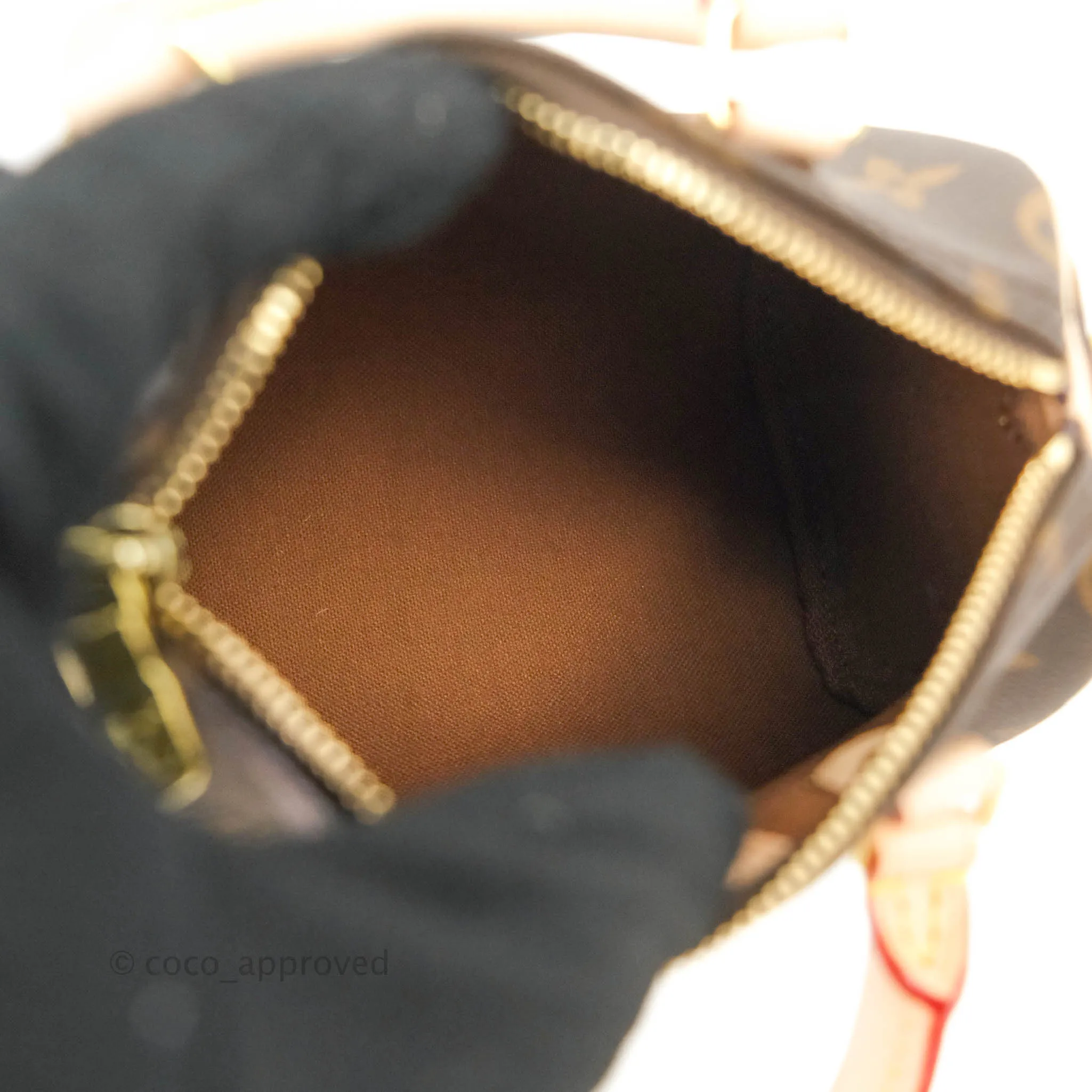 Louis Vuitton Nano Speedy Monogram