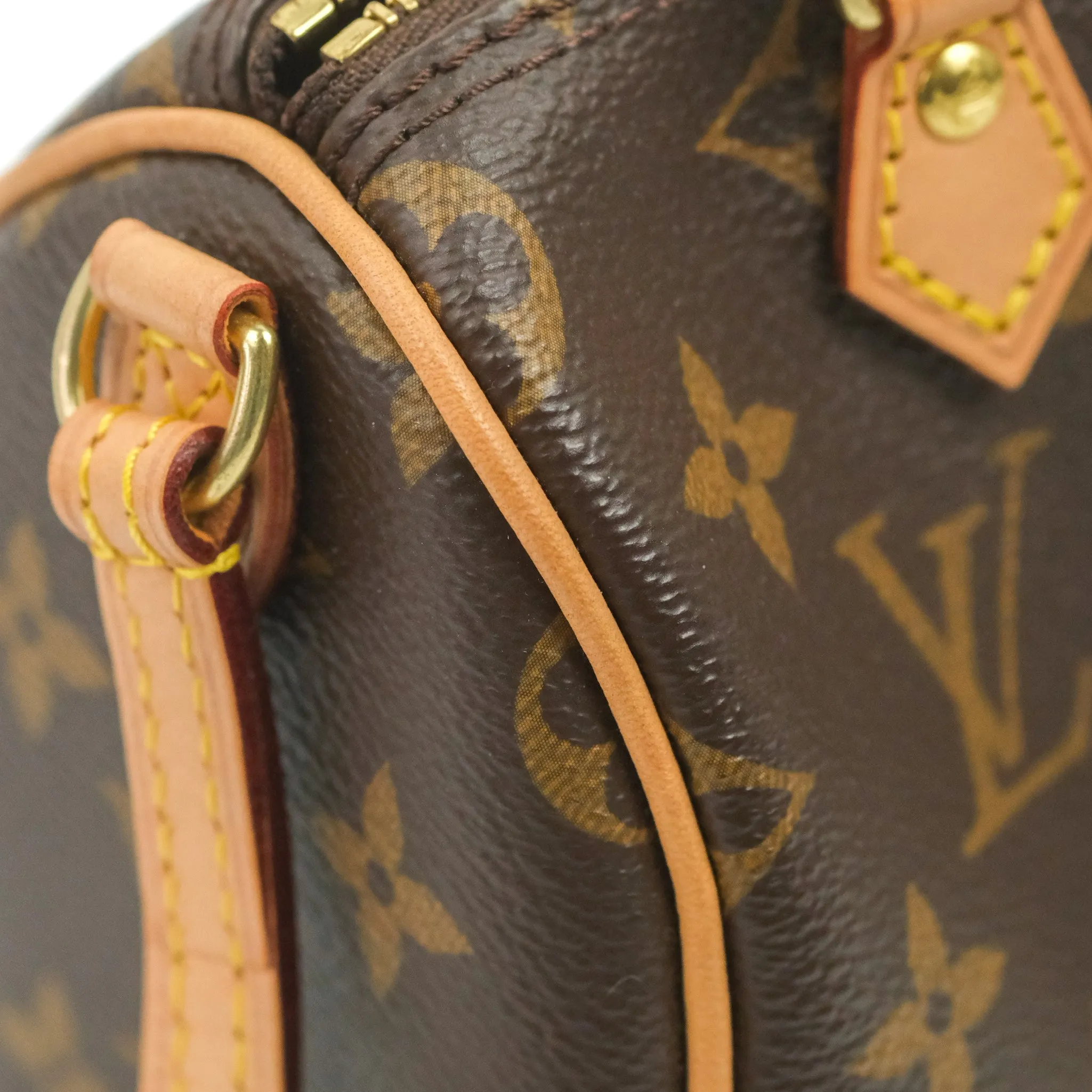 Louis Vuitton Nano Speedy Monogram