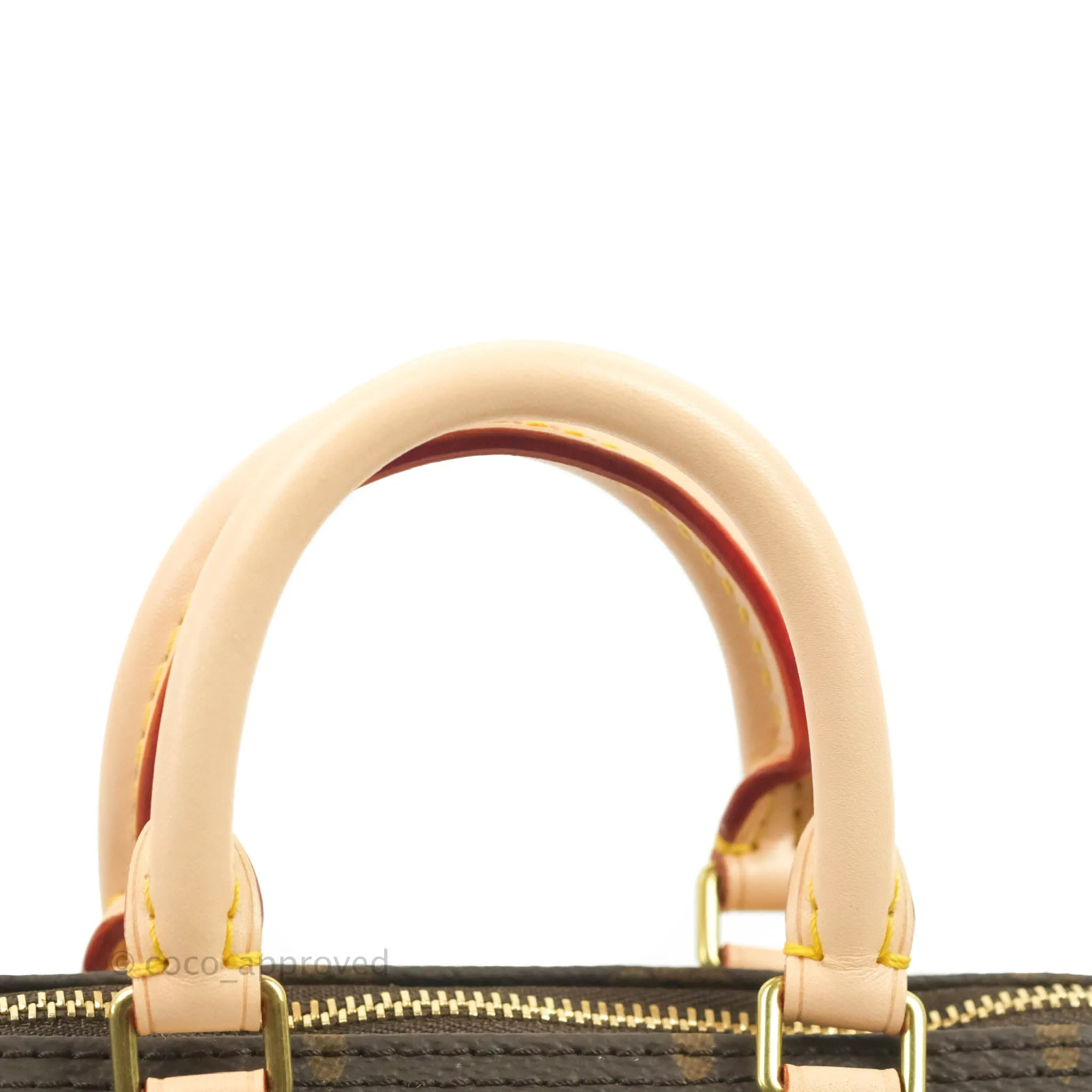 Louis Vuitton Nano Speedy Monogram