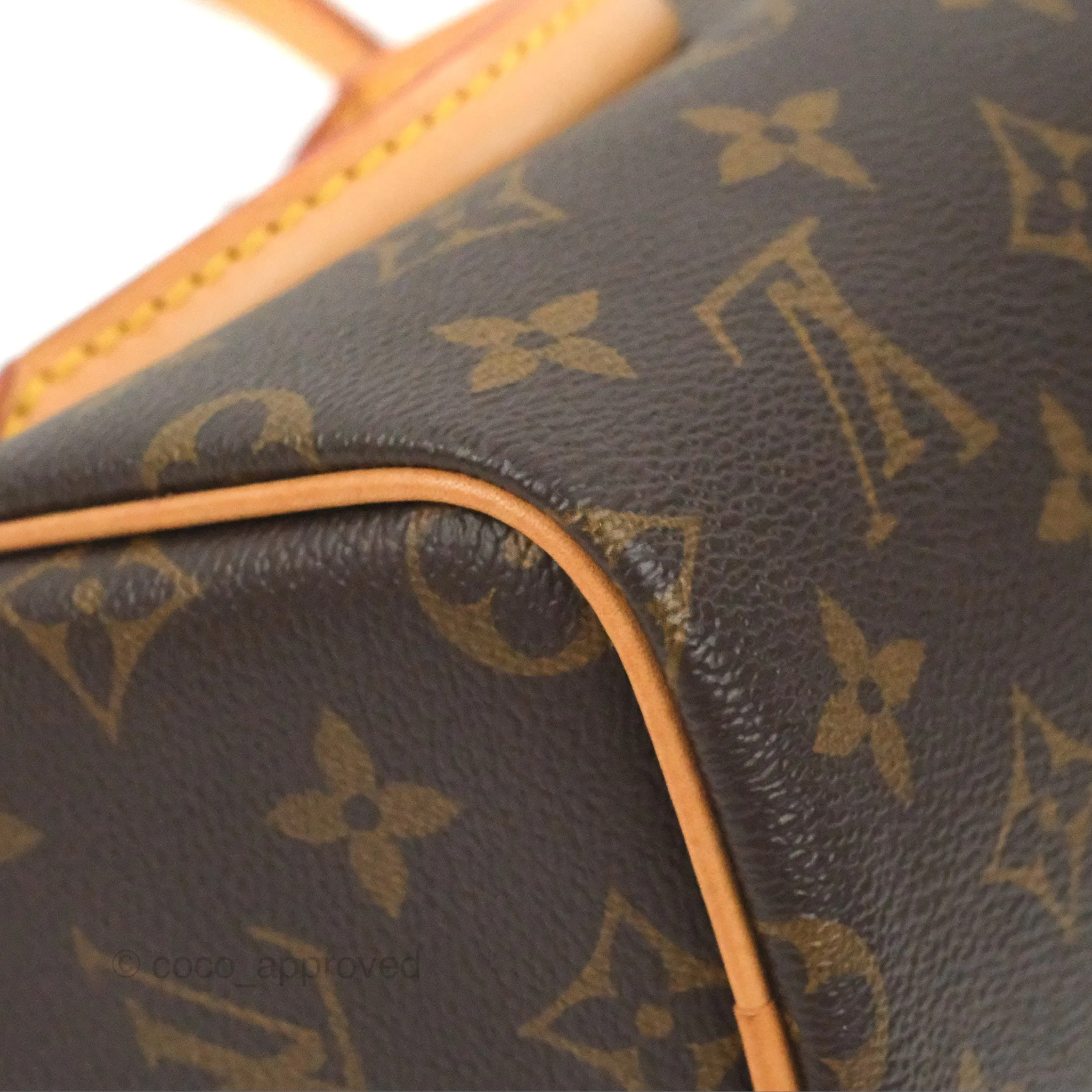 Louis Vuitton Nano Speedy Monogram