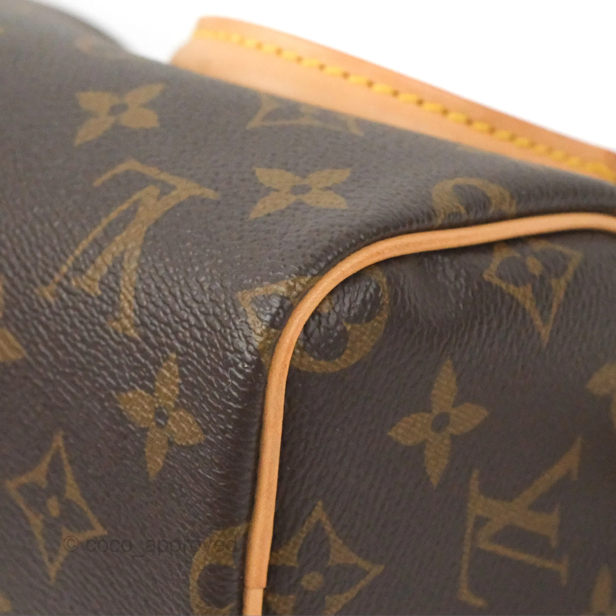 Louis Vuitton Nano Speedy Monogram
