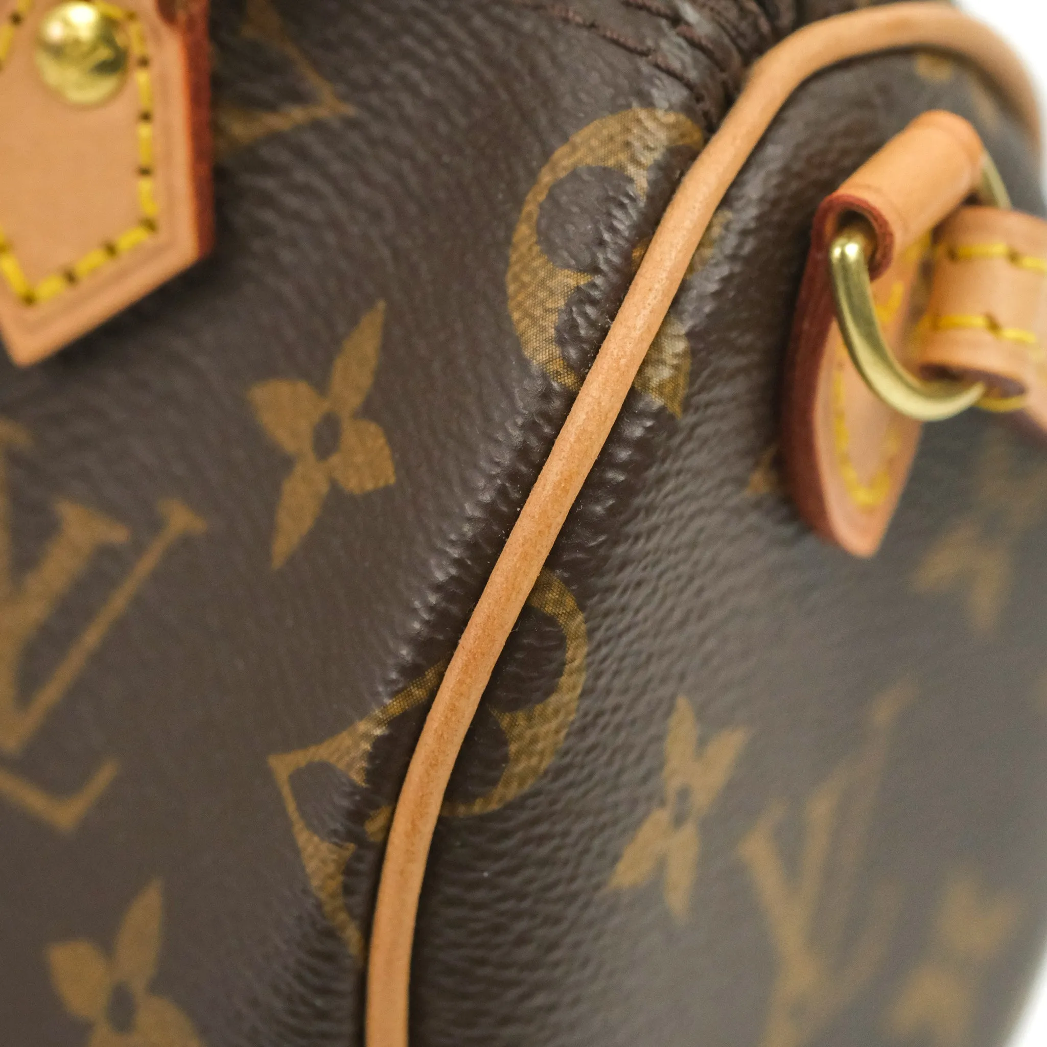 Louis Vuitton Nano Speedy Monogram