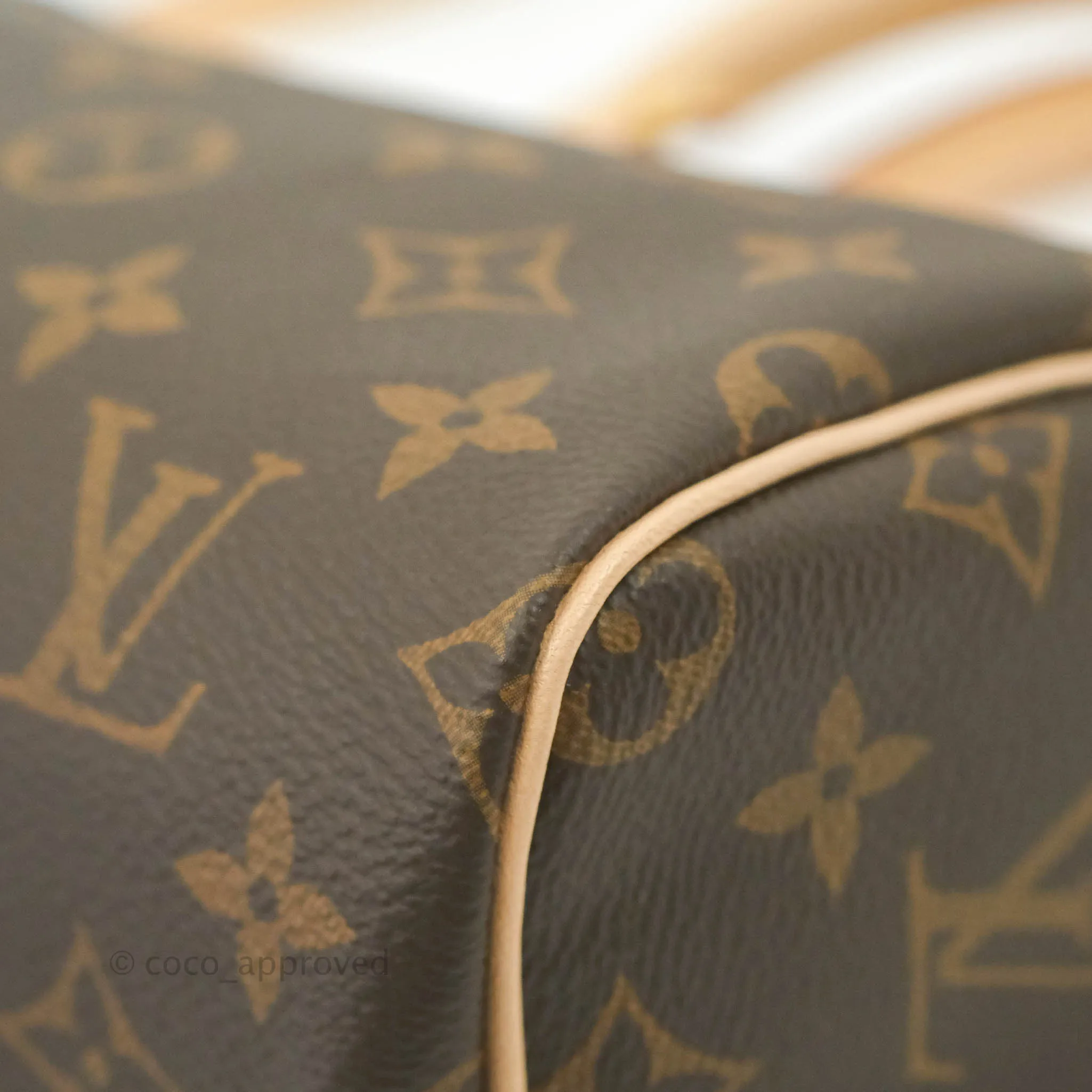 Louis Vuitton Nano Speedy Monogram