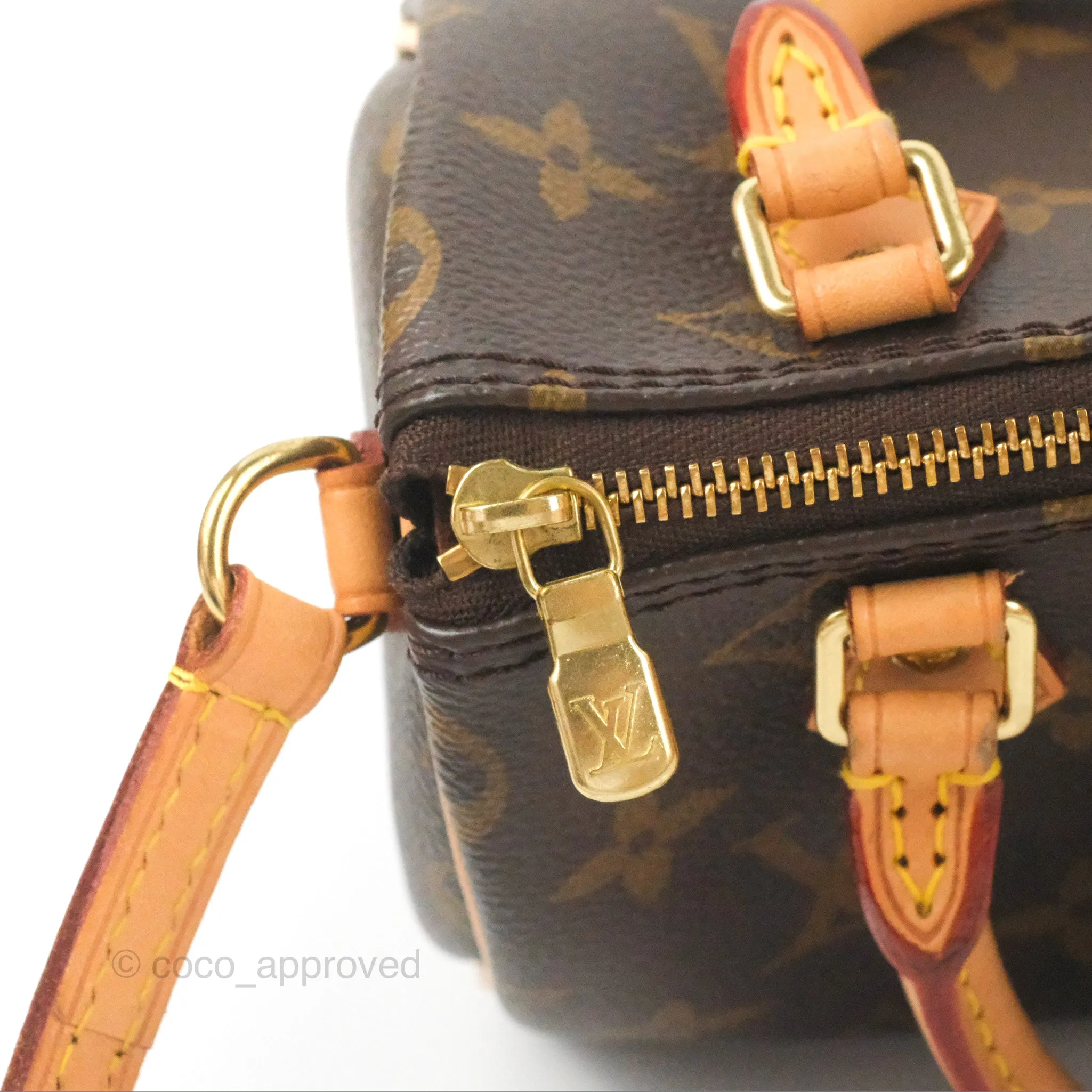 Louis Vuitton Nano Speedy Monogram