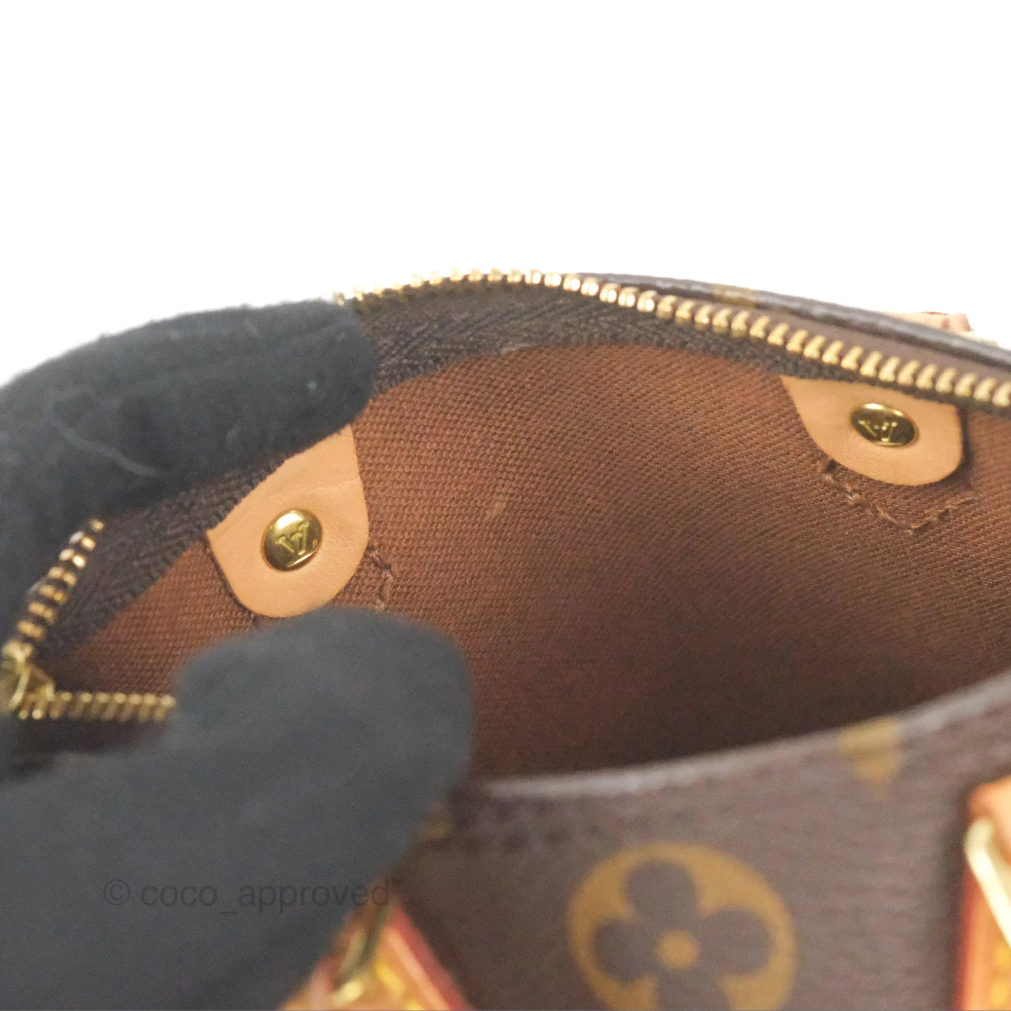 Louis Vuitton Nano Speedy Monogram