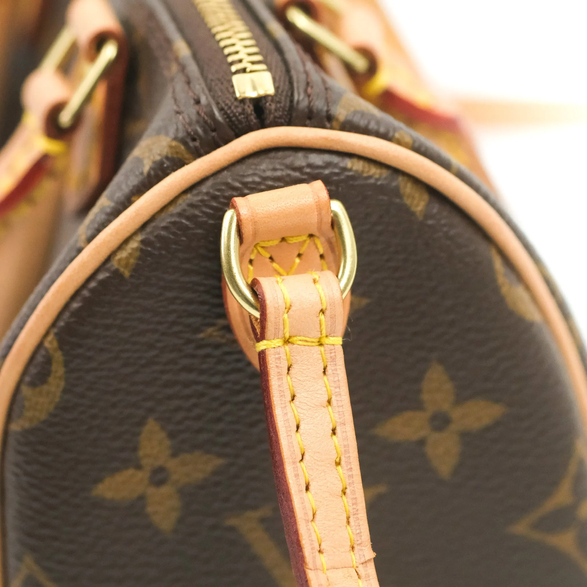 Louis Vuitton Nano Speedy Monogram