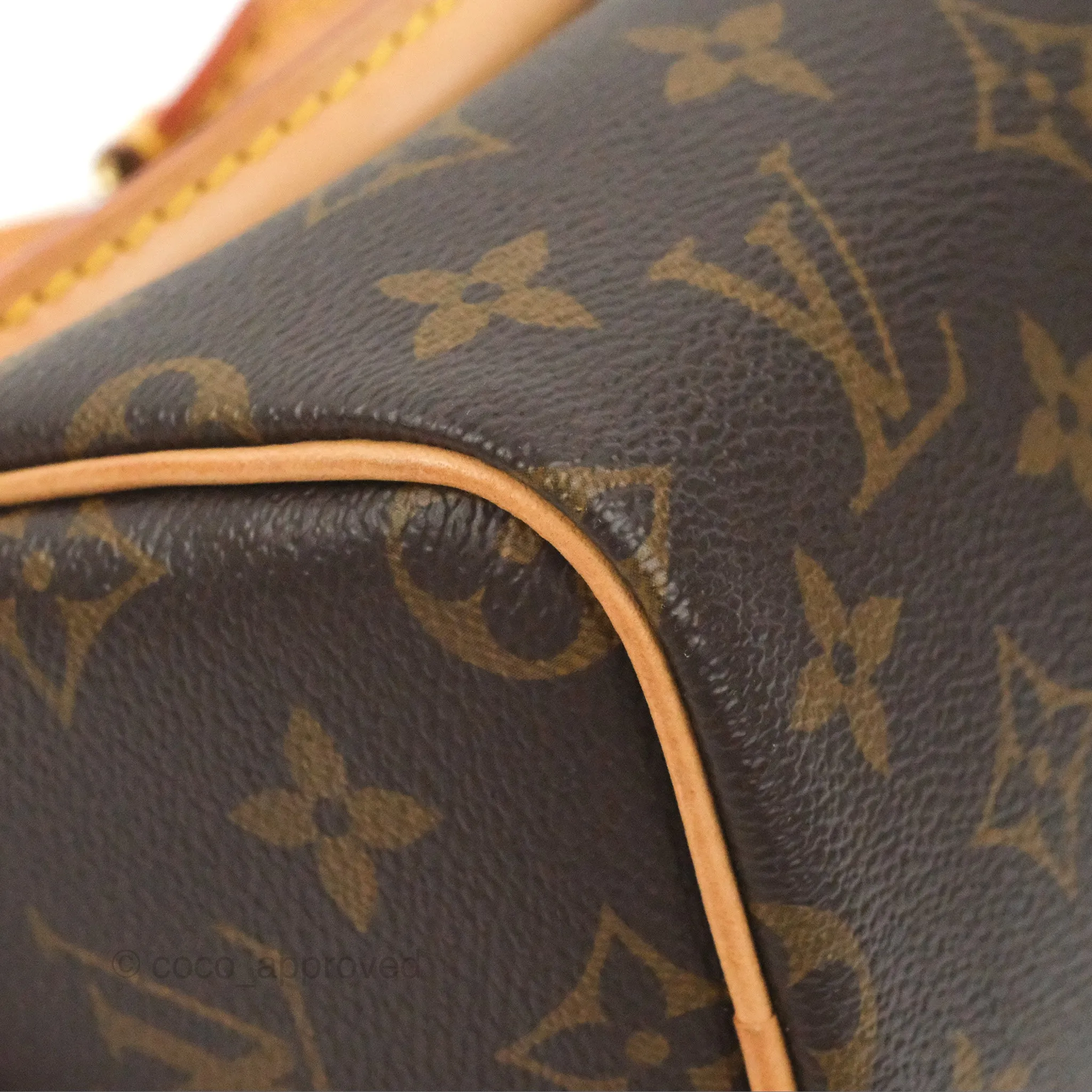 Louis Vuitton Nano Speedy Monogram