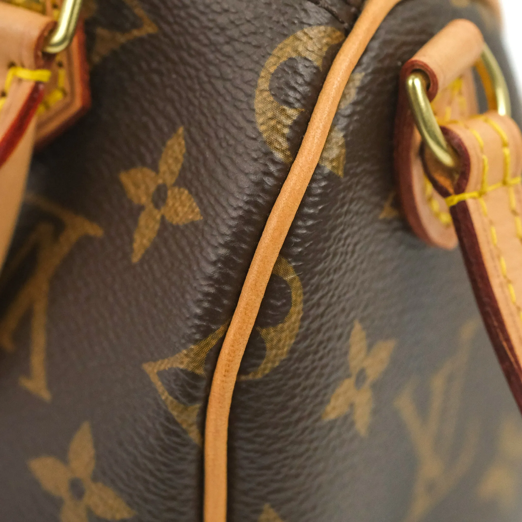 Louis Vuitton Nano Speedy Monogram
