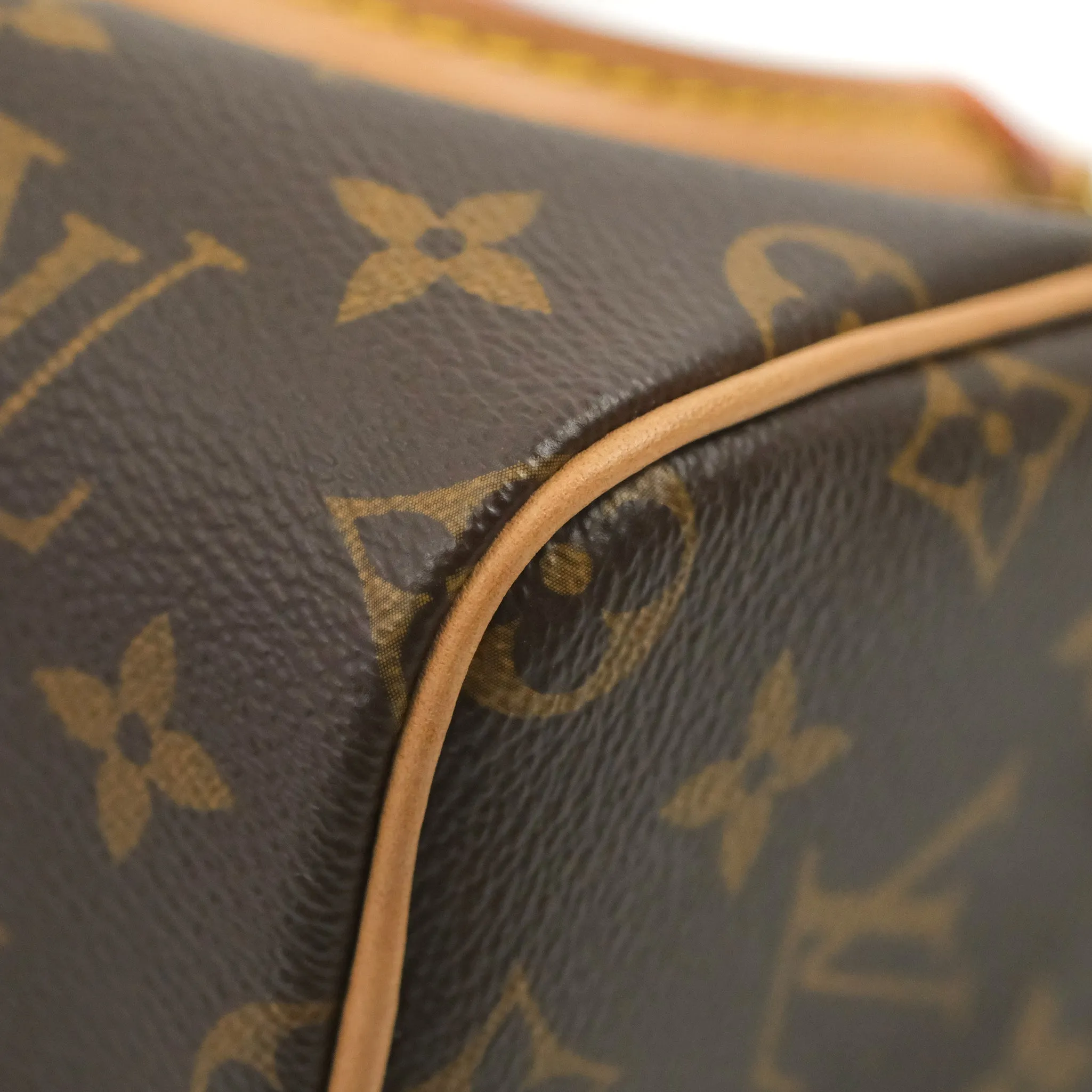 Louis Vuitton Nano Speedy Monogram