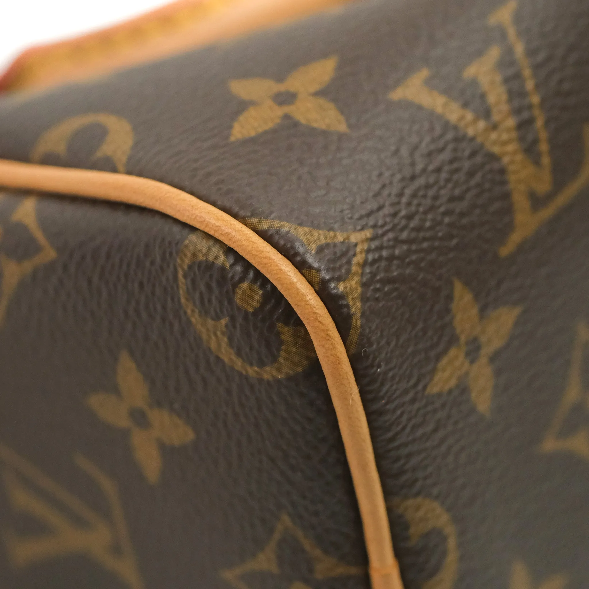 Louis Vuitton Nano Speedy Monogram