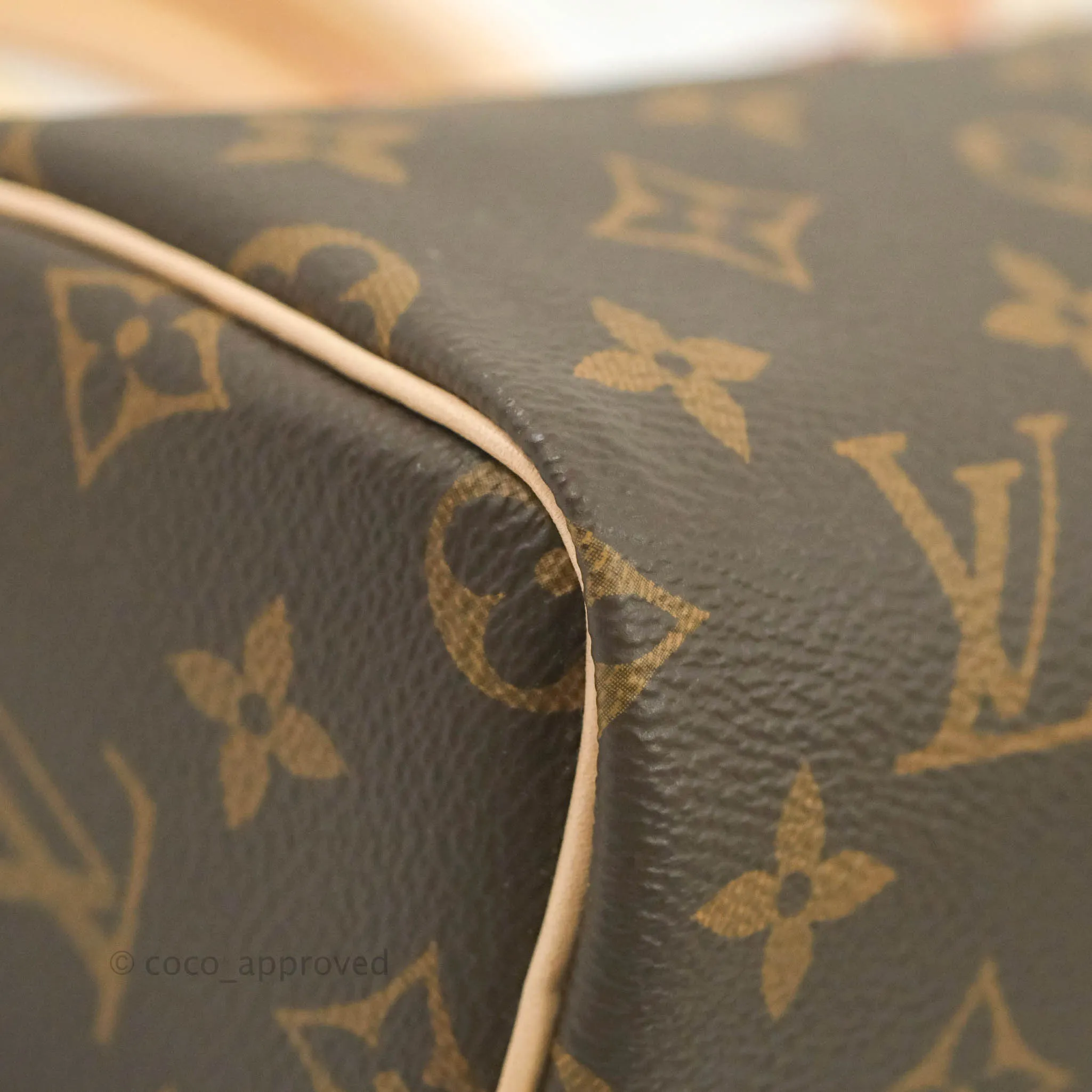 Louis Vuitton Nano Speedy Monogram