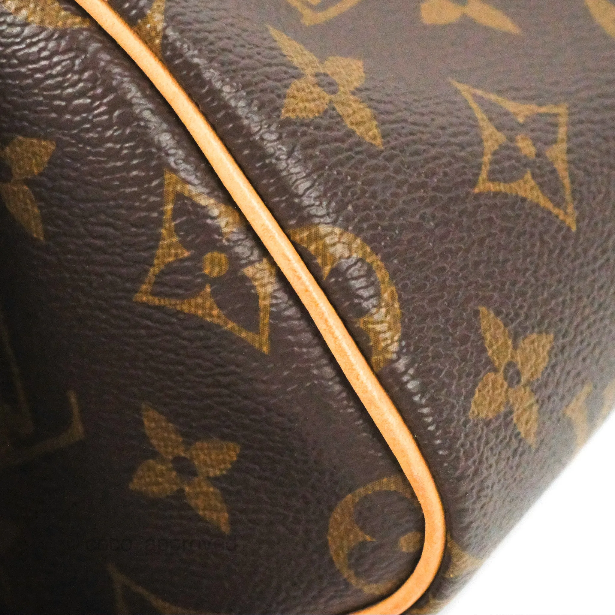Louis Vuitton Nano Speedy Monogram
