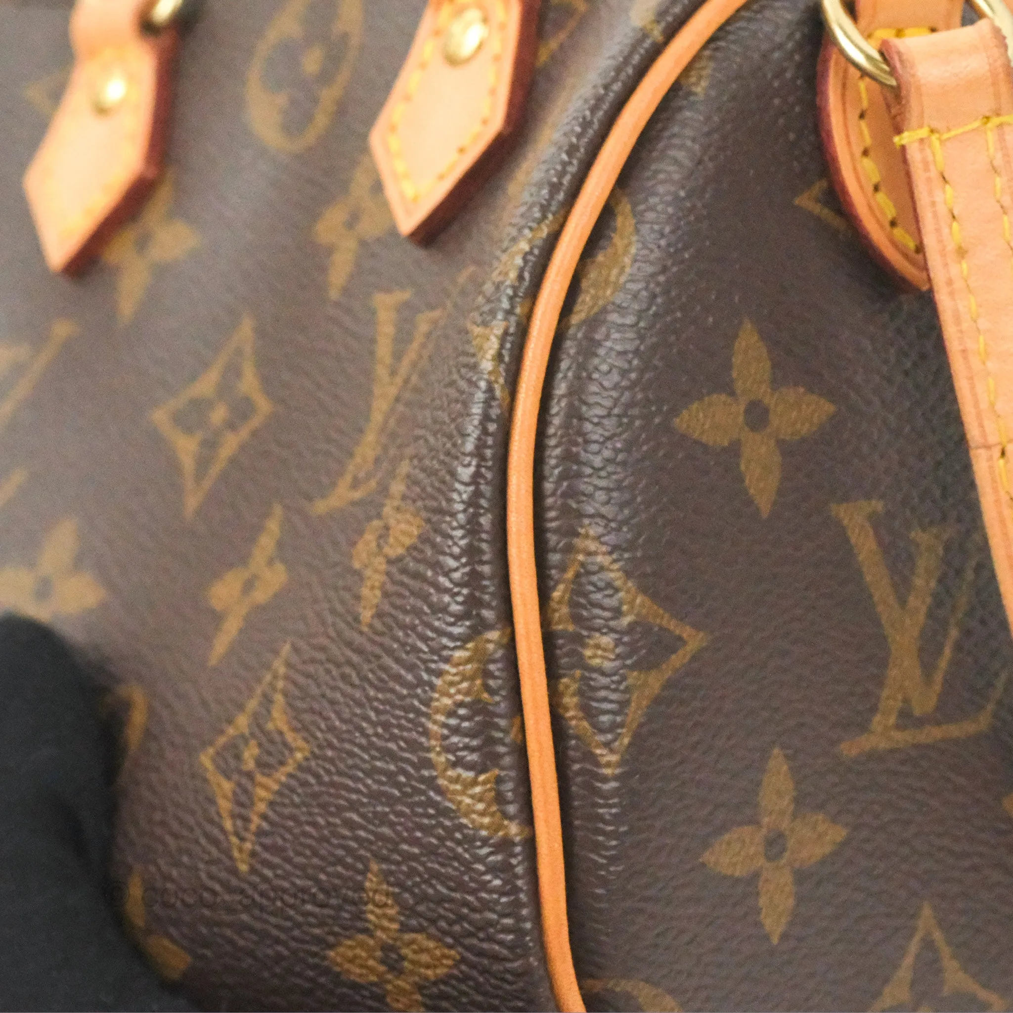 Louis Vuitton Nano Speedy Monogram