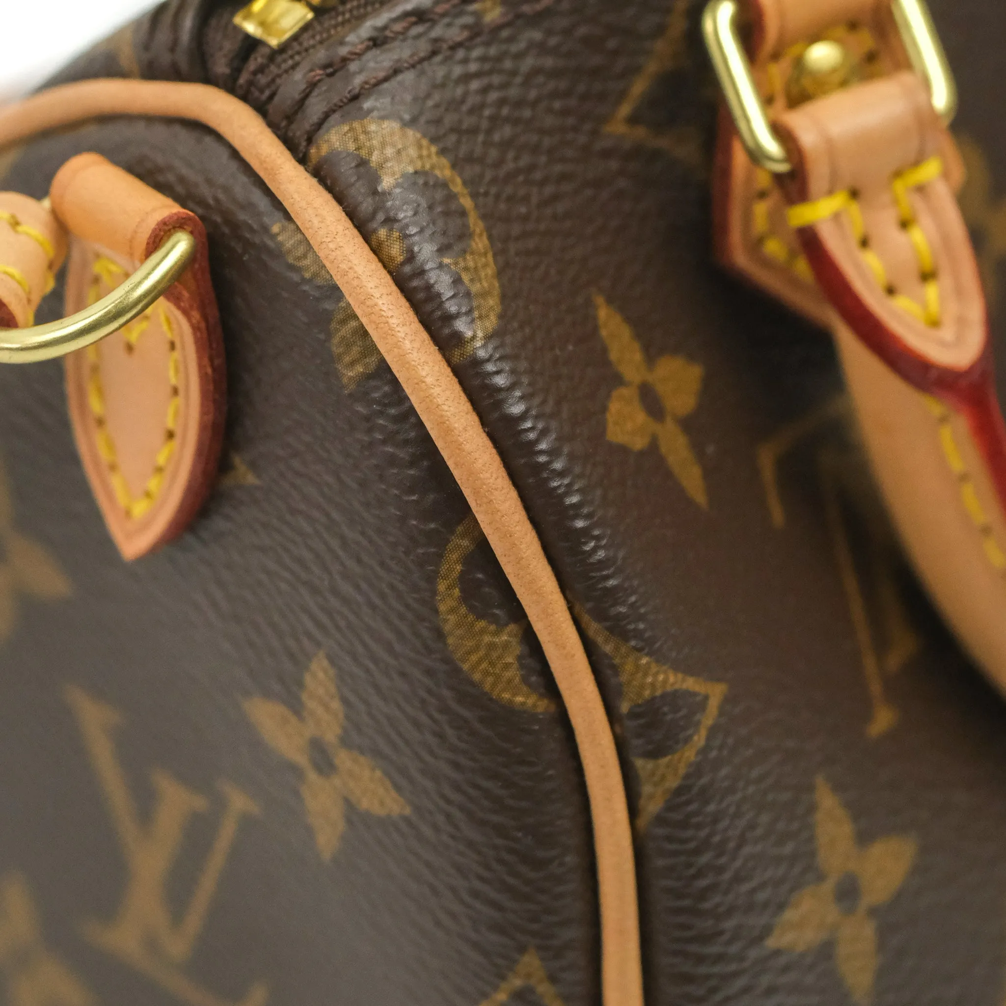 Louis Vuitton Nano Speedy Monogram