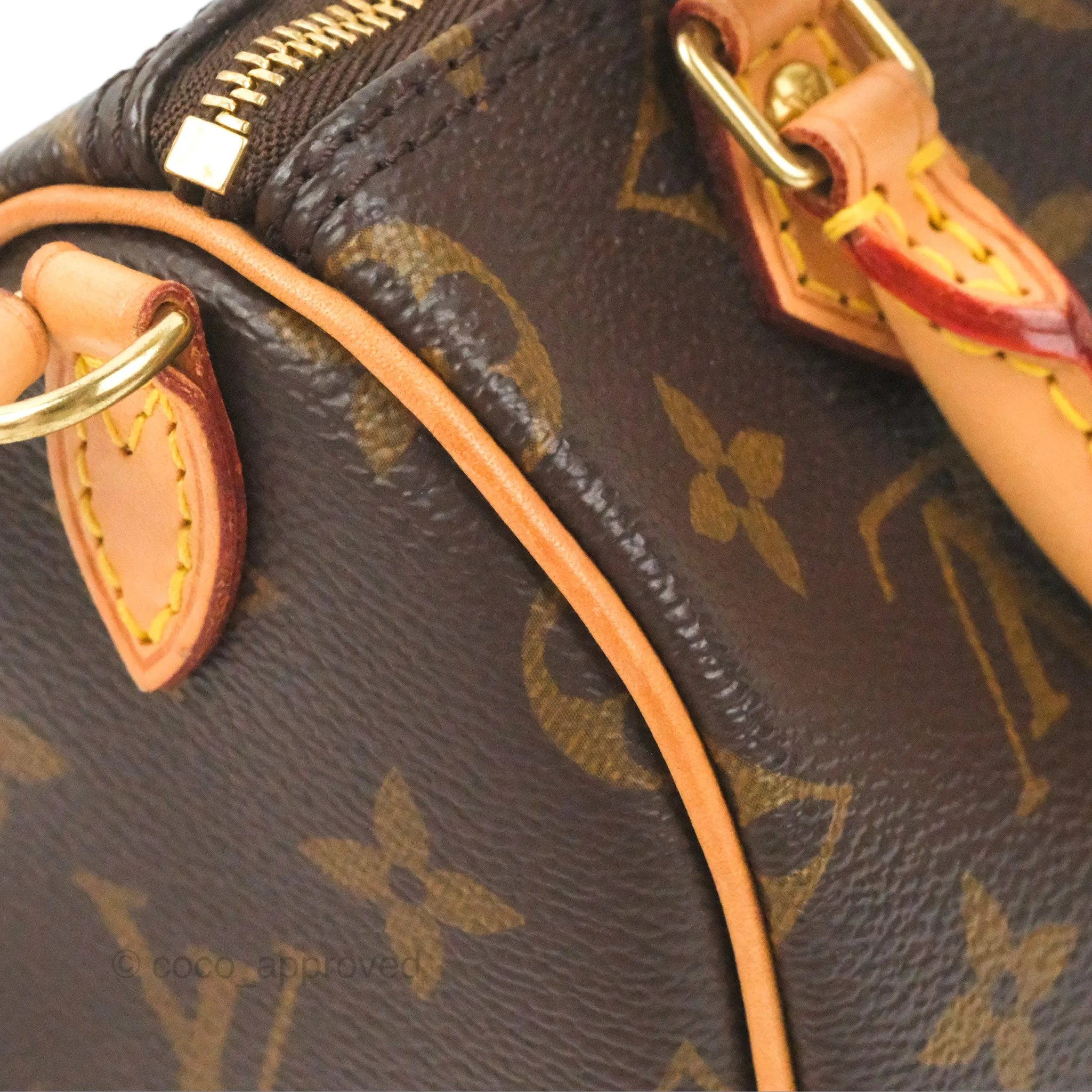 Louis Vuitton Nano Speedy Monogram