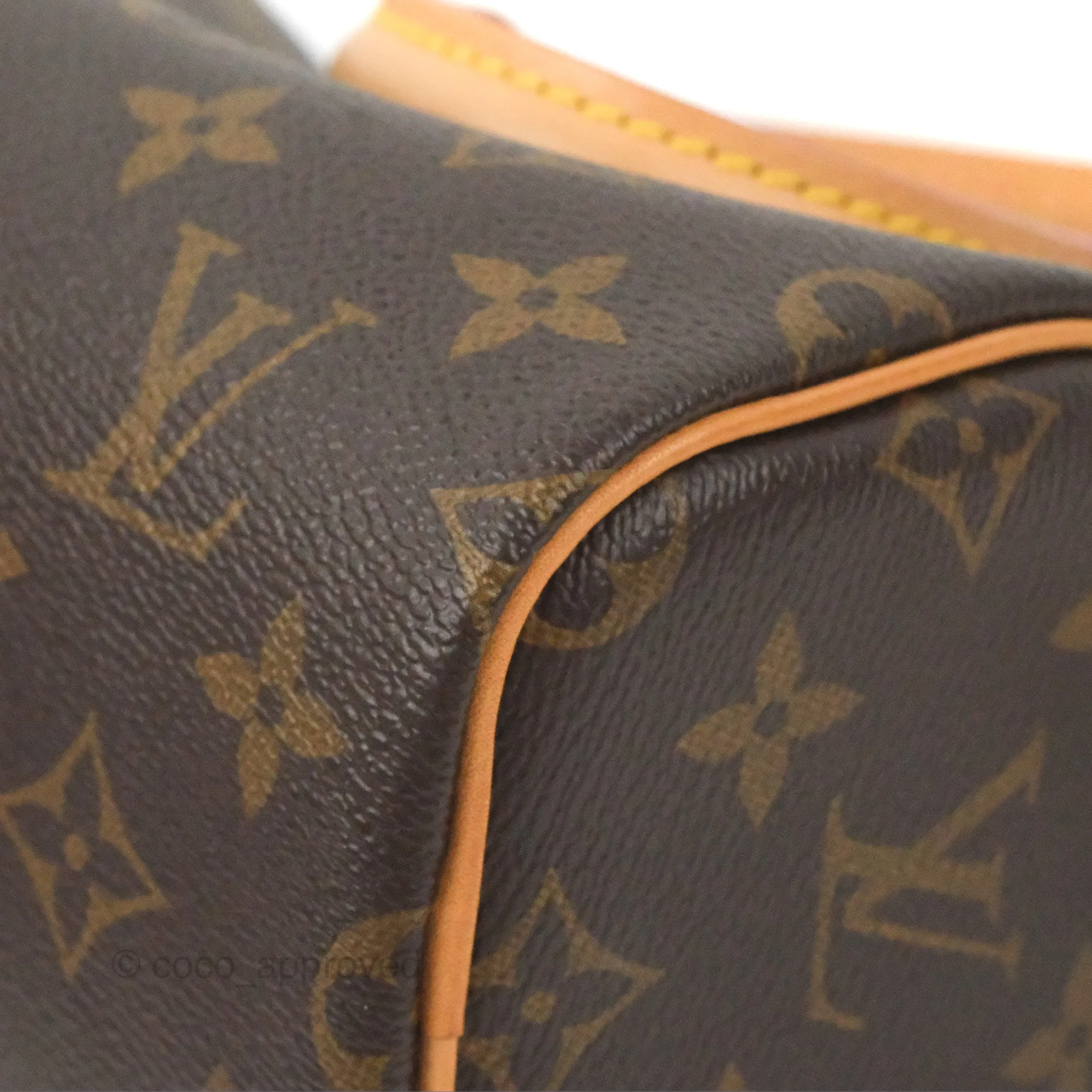 Louis Vuitton Nano Speedy Monogram