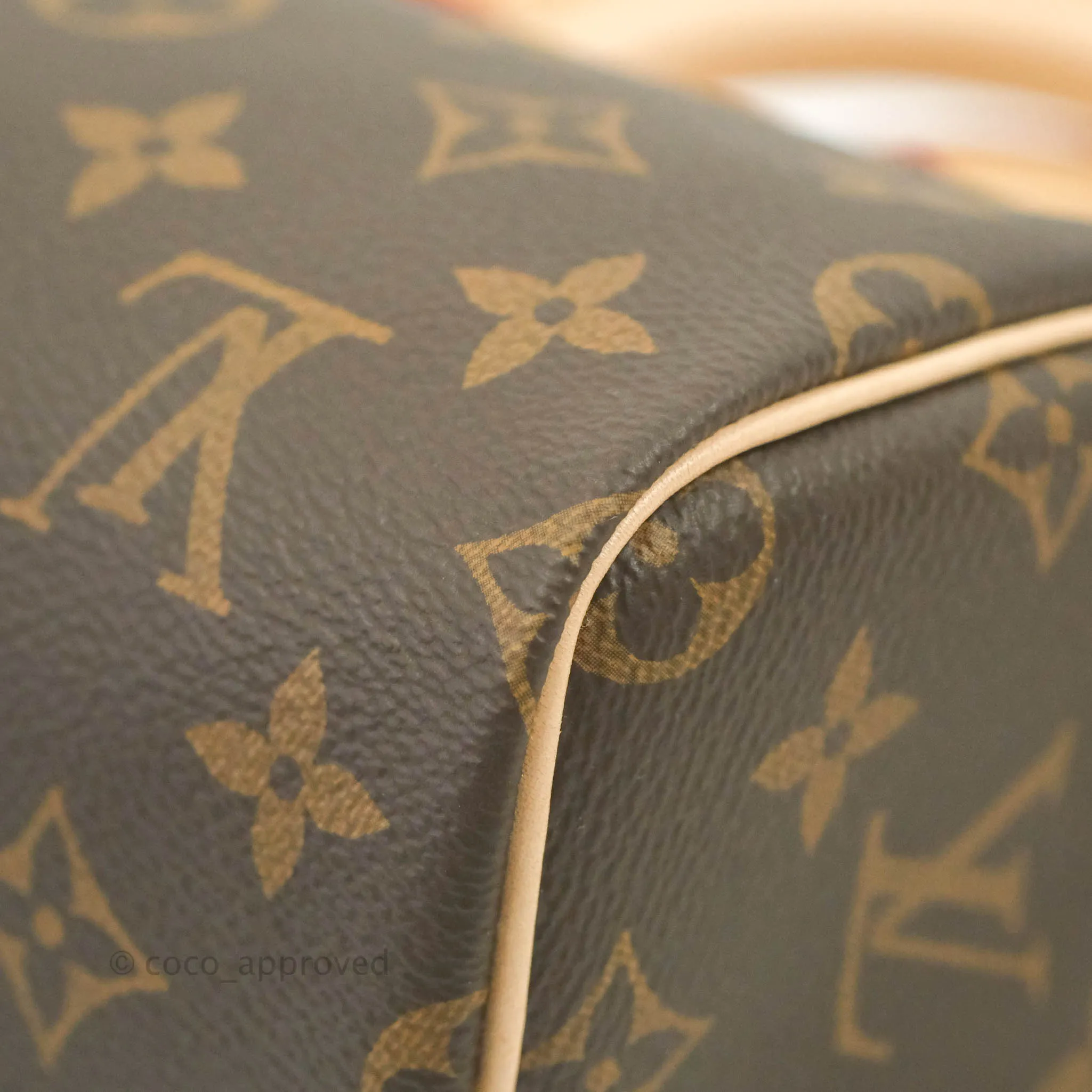 Louis Vuitton Nano Speedy Monogram