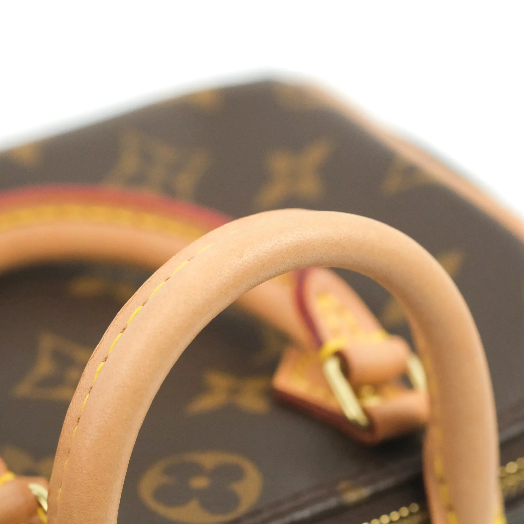 Louis Vuitton Nano Speedy Monogram