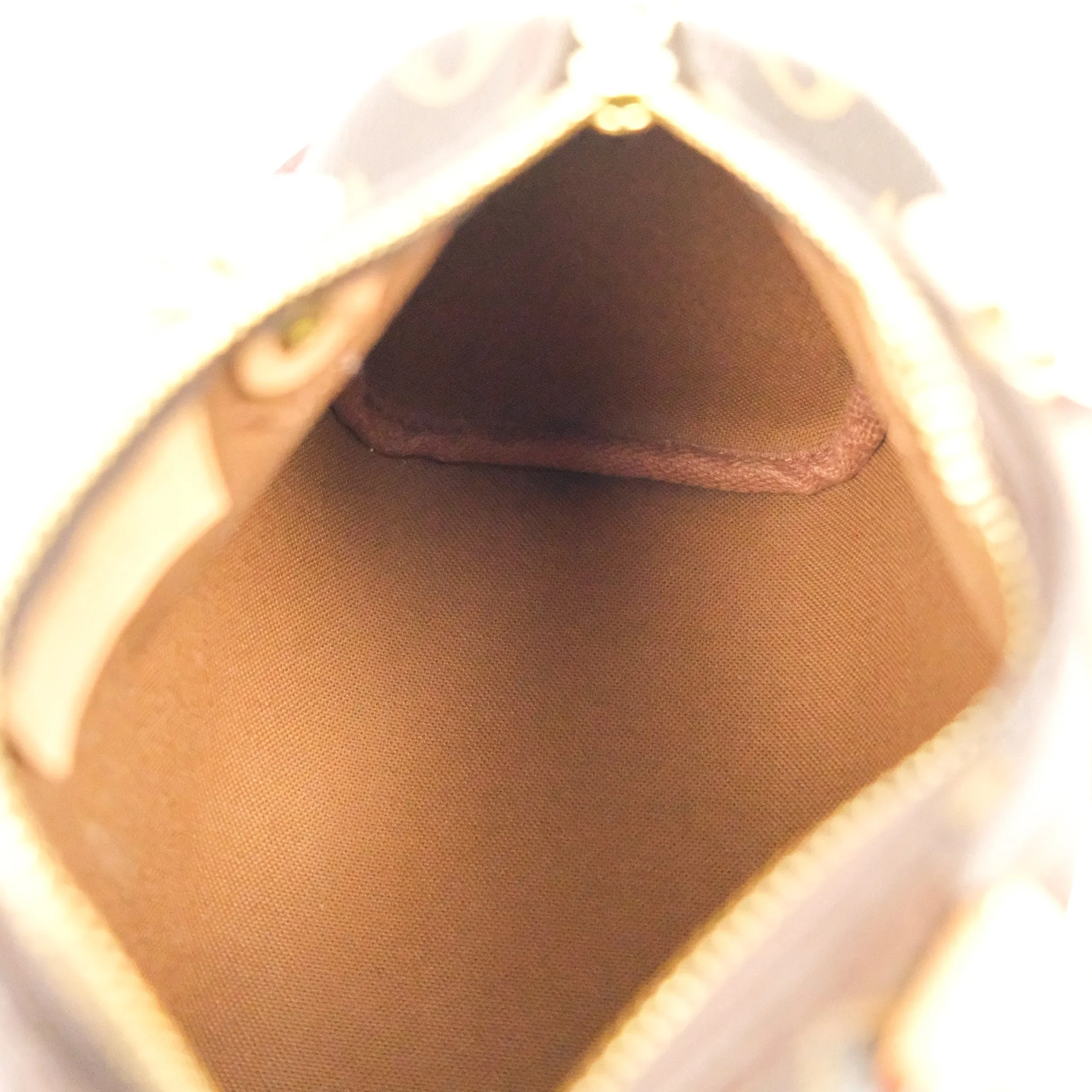 Louis Vuitton Nano Speedy Monogram