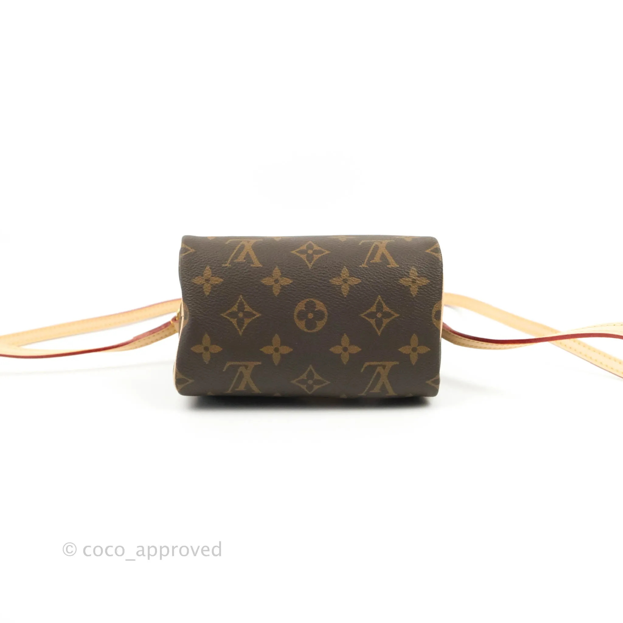 Louis Vuitton Nano Speedy Monogram