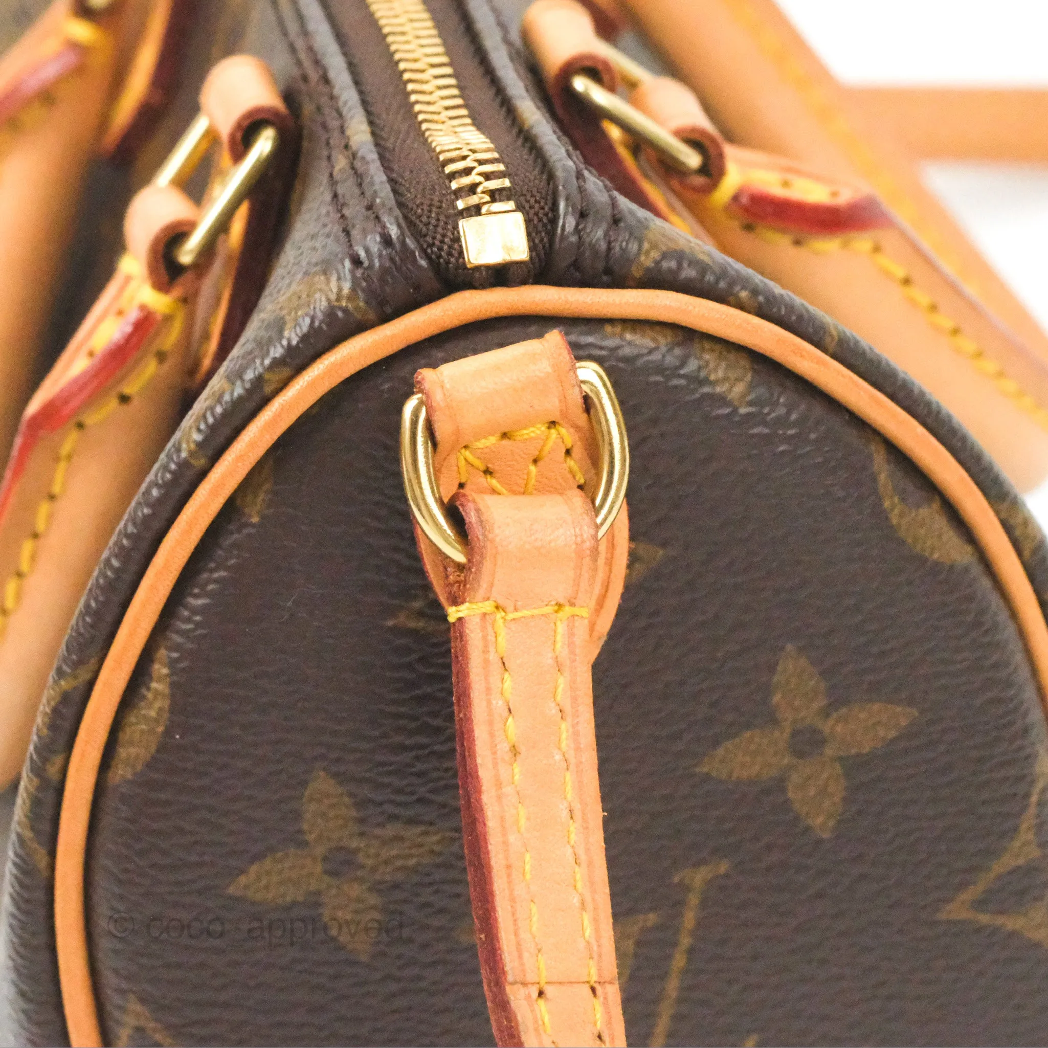 Louis Vuitton Nano Speedy Monogram