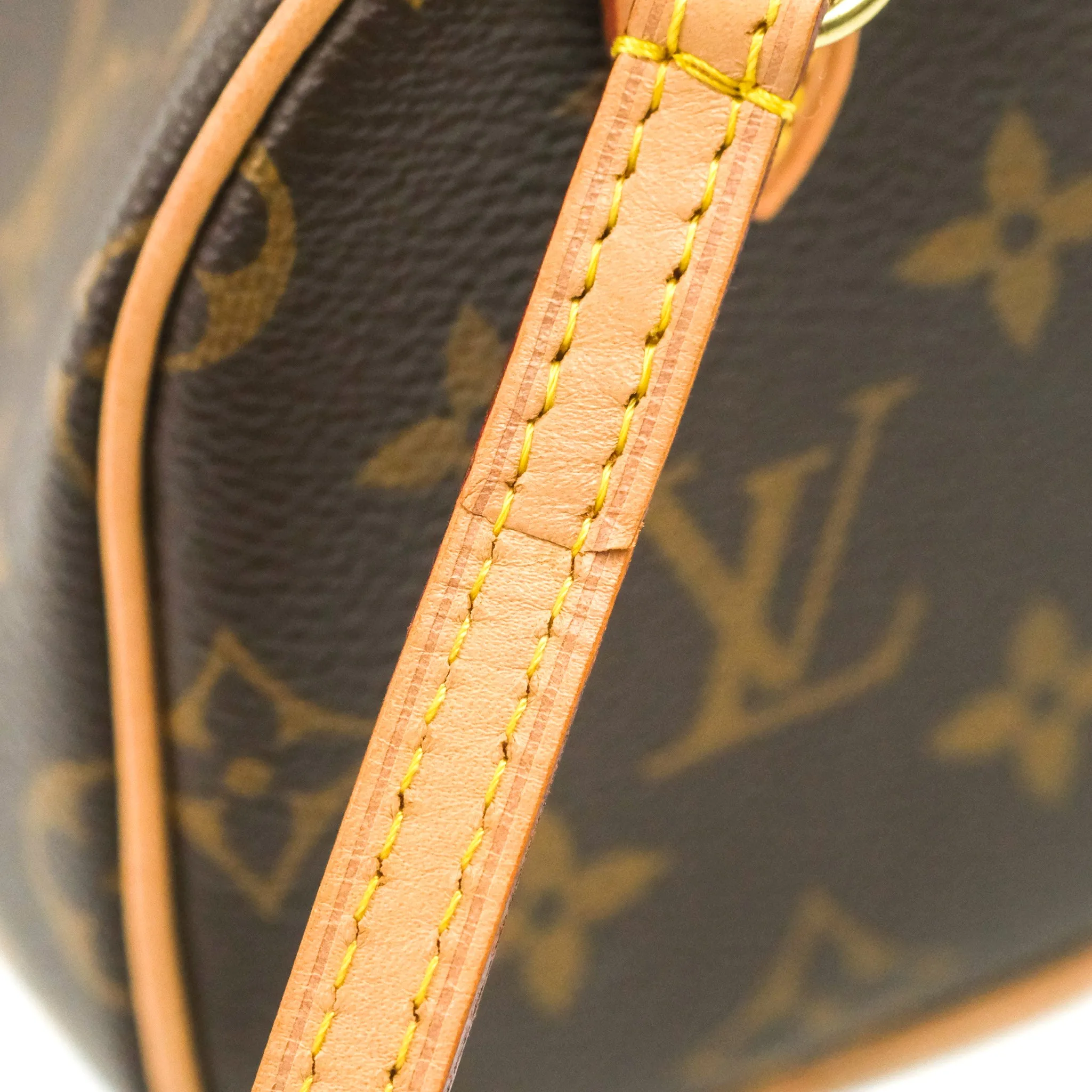 Louis Vuitton Nano Speedy Monogram