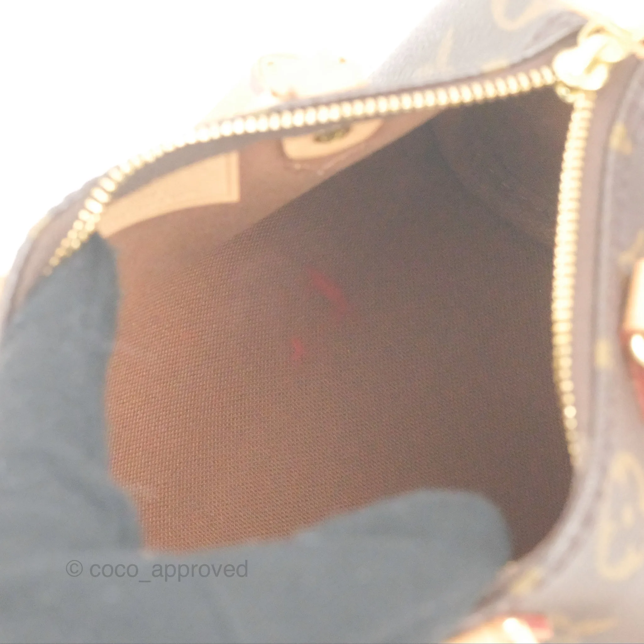 Louis Vuitton Nano Speedy Monogram