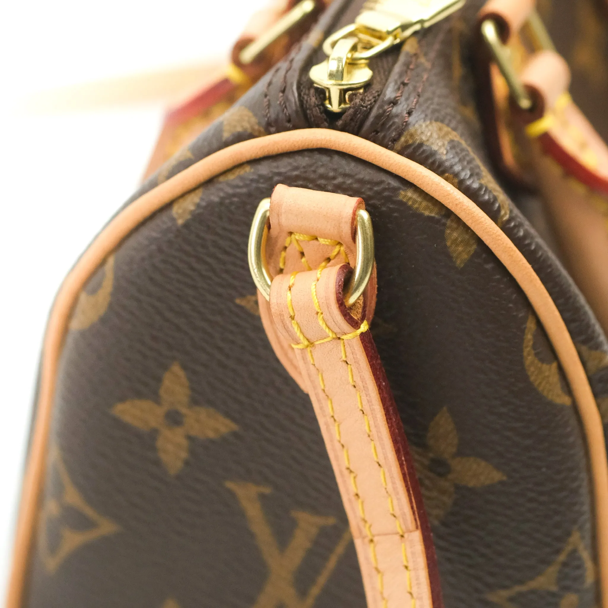 Louis Vuitton Nano Speedy Monogram