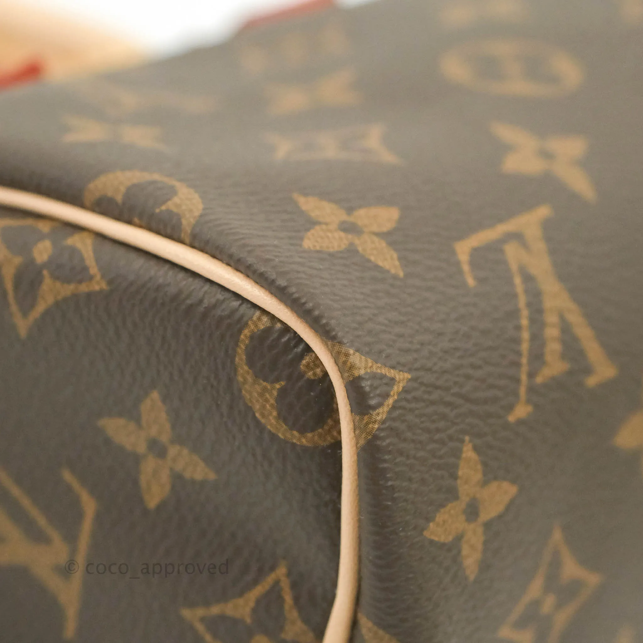 Louis Vuitton Nano Speedy Monogram