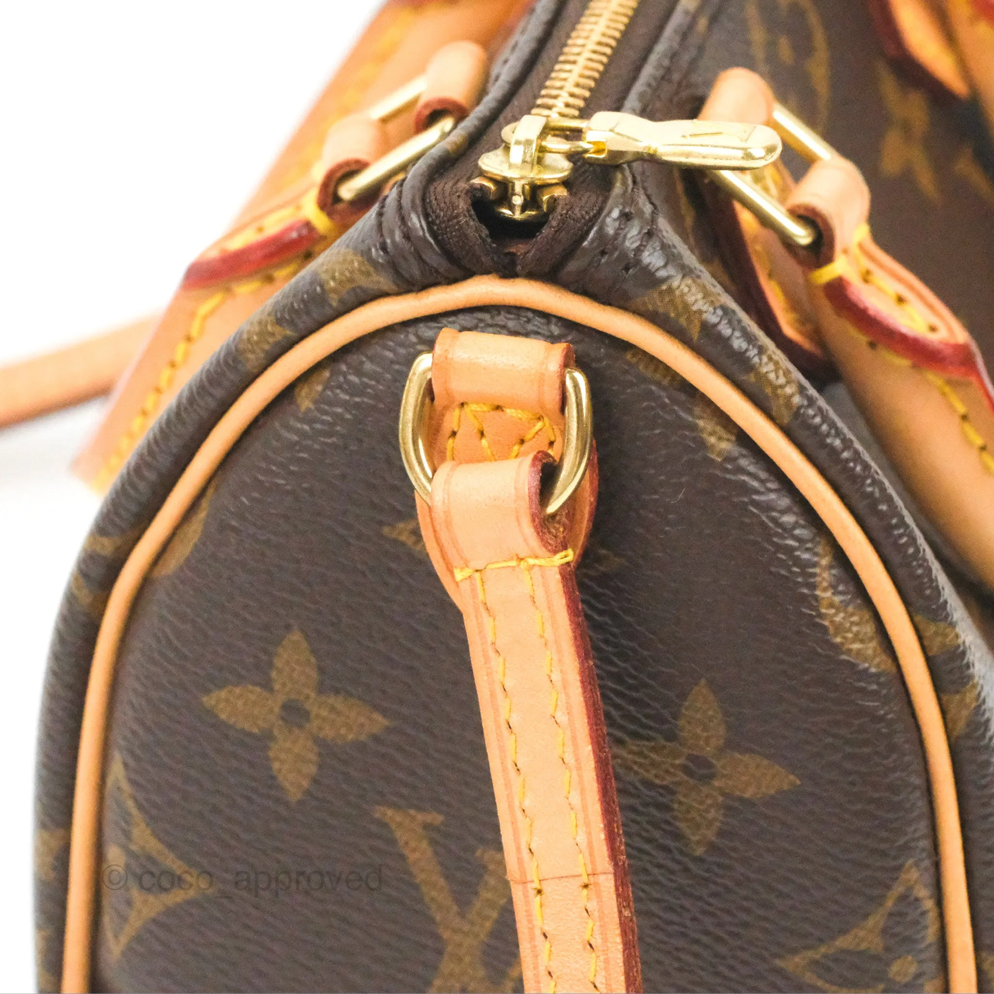 Louis Vuitton Nano Speedy Monogram
