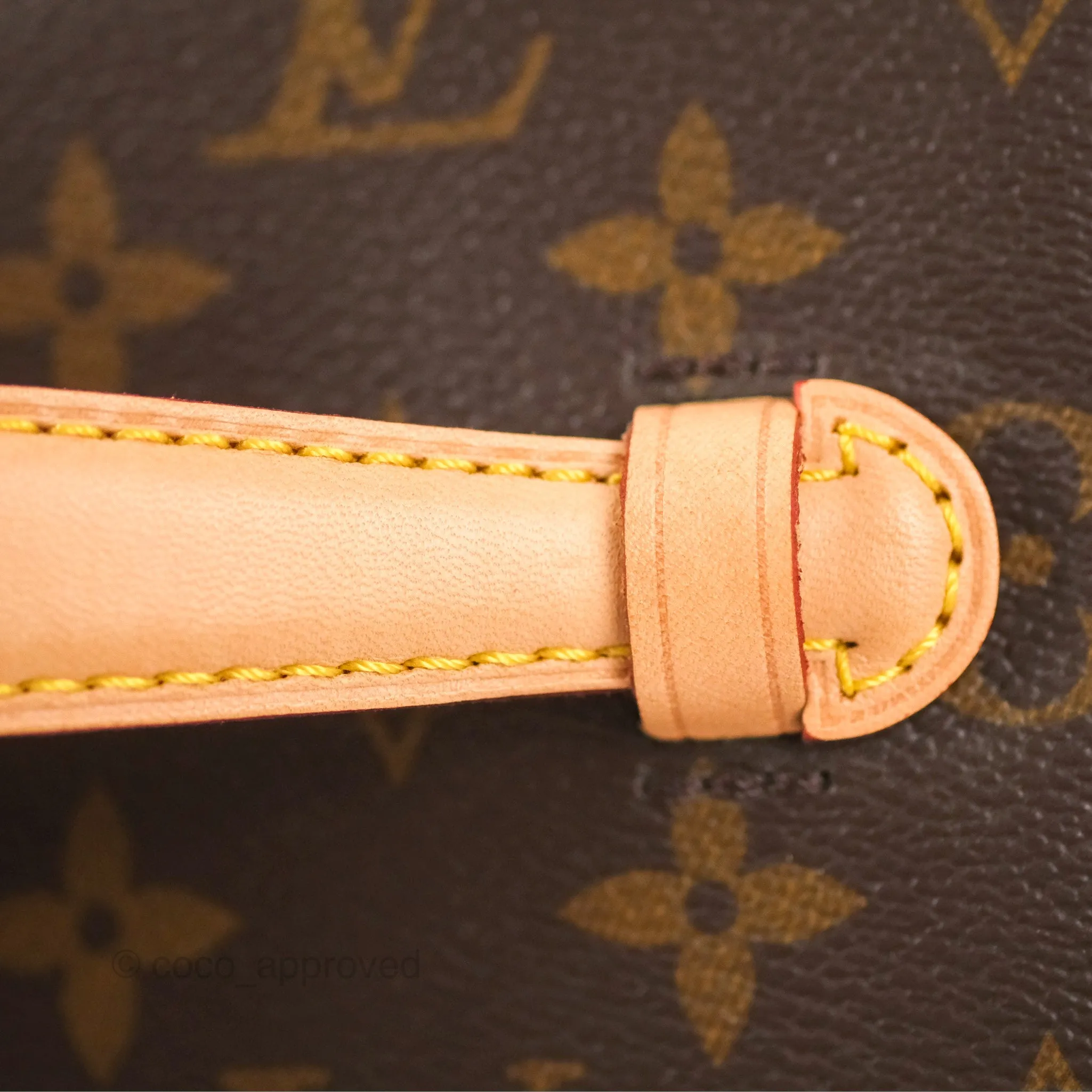 Louis Vuitton Nice Mini Monogram Canvas
