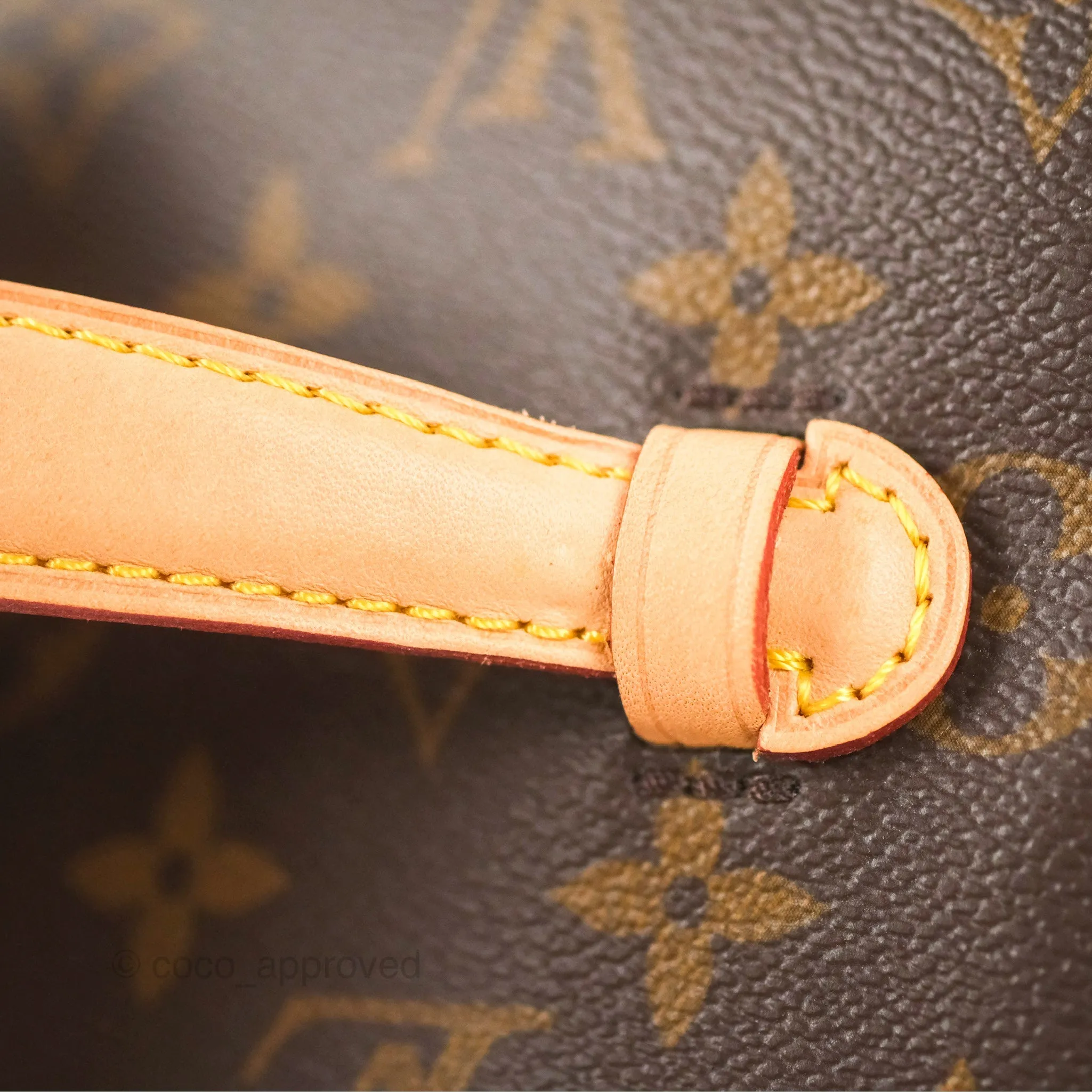Louis Vuitton Nice Mini Monogram Canvas