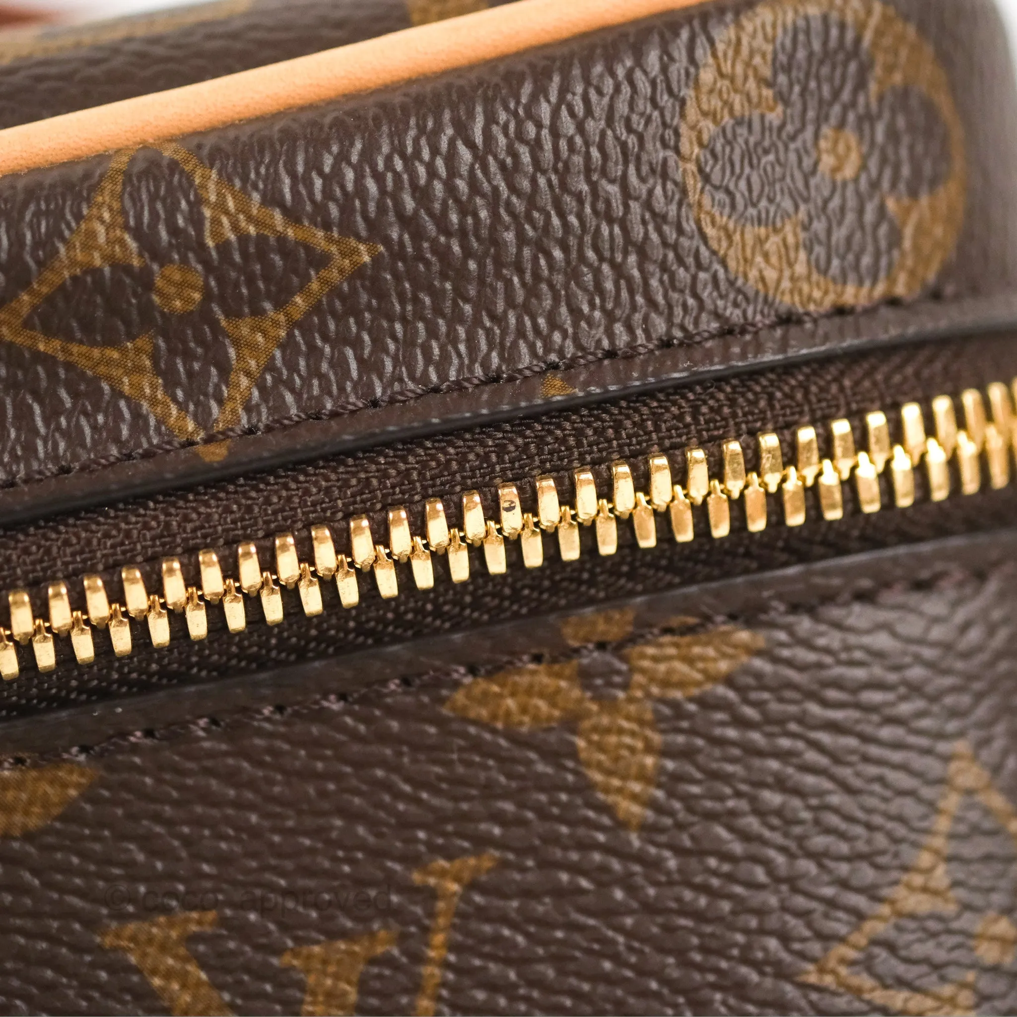 Louis Vuitton Nice Mini Monogram Canvas