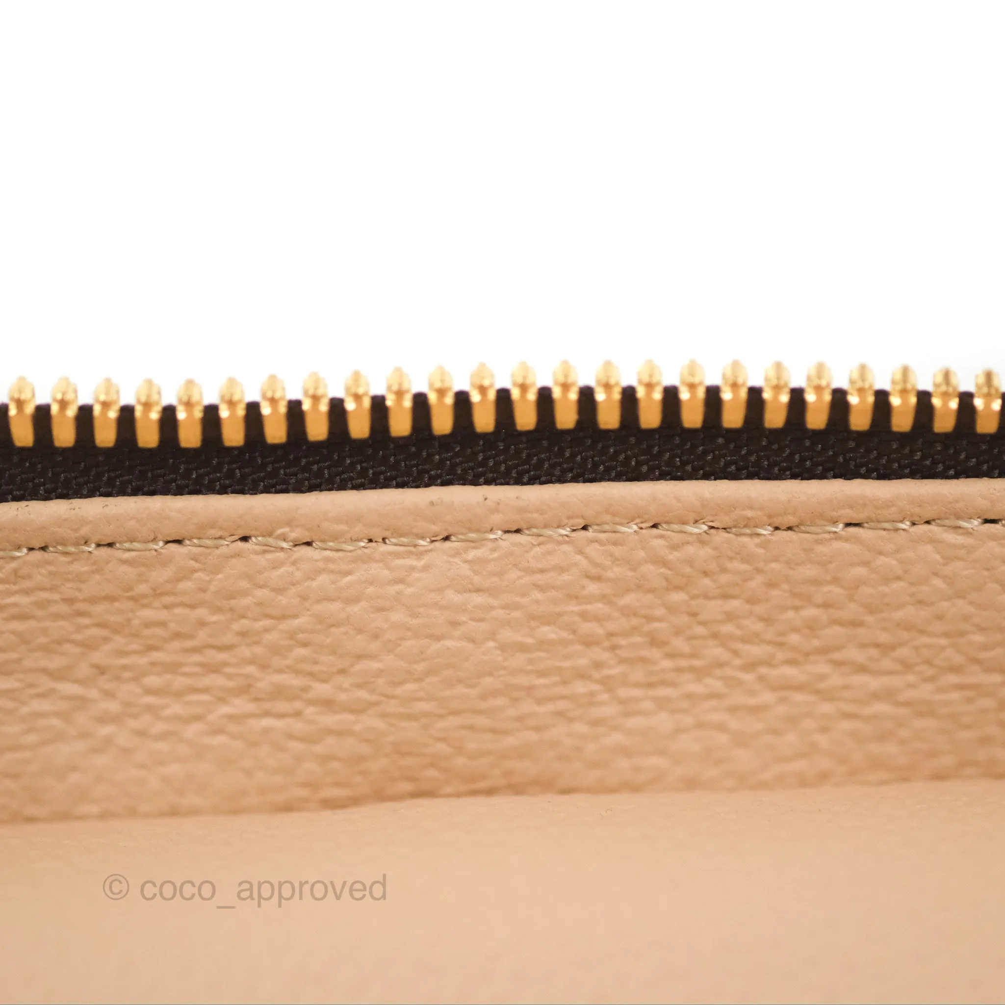 Louis Vuitton Nice Mini Monogram Canvas