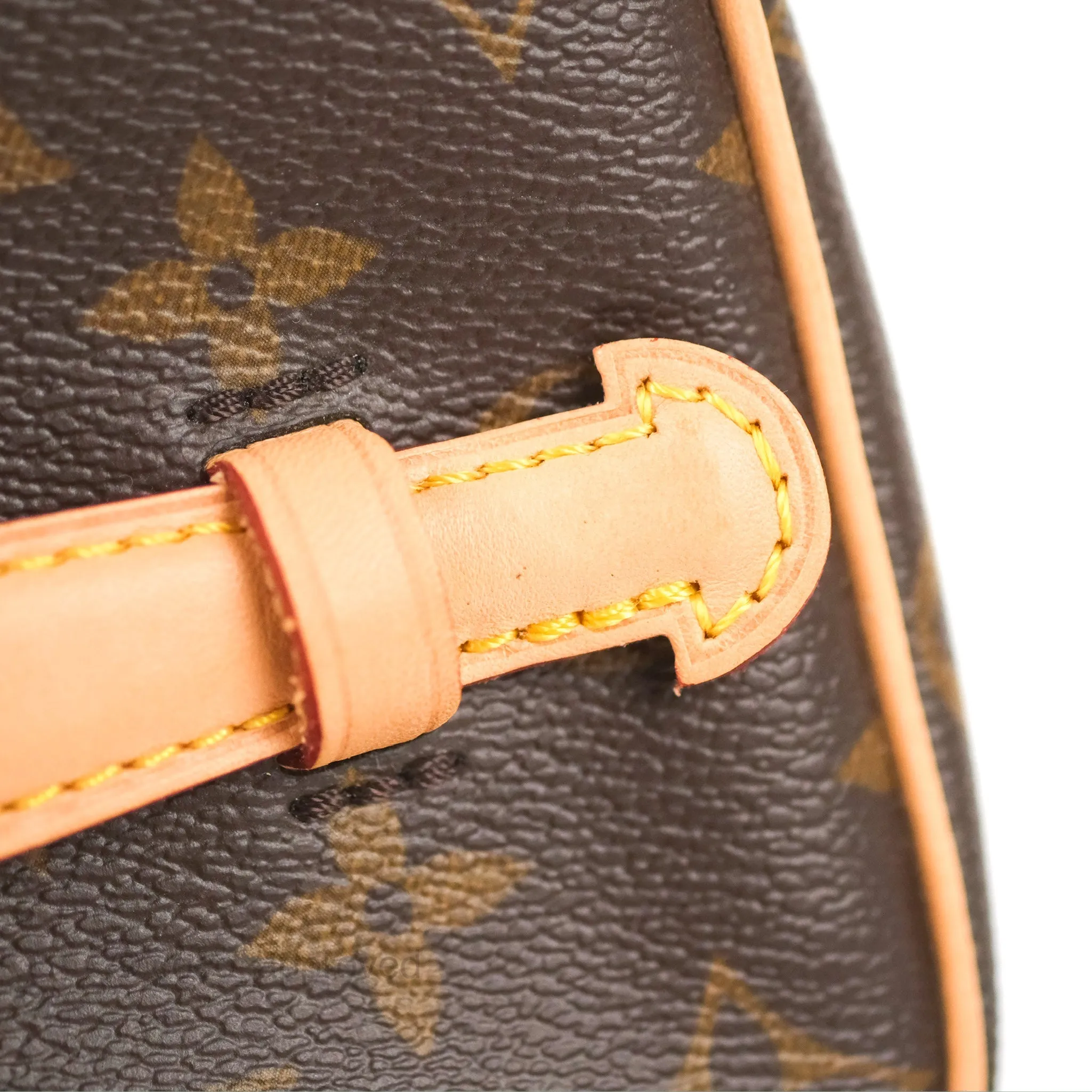 Louis Vuitton Nice Mini Monogram Canvas