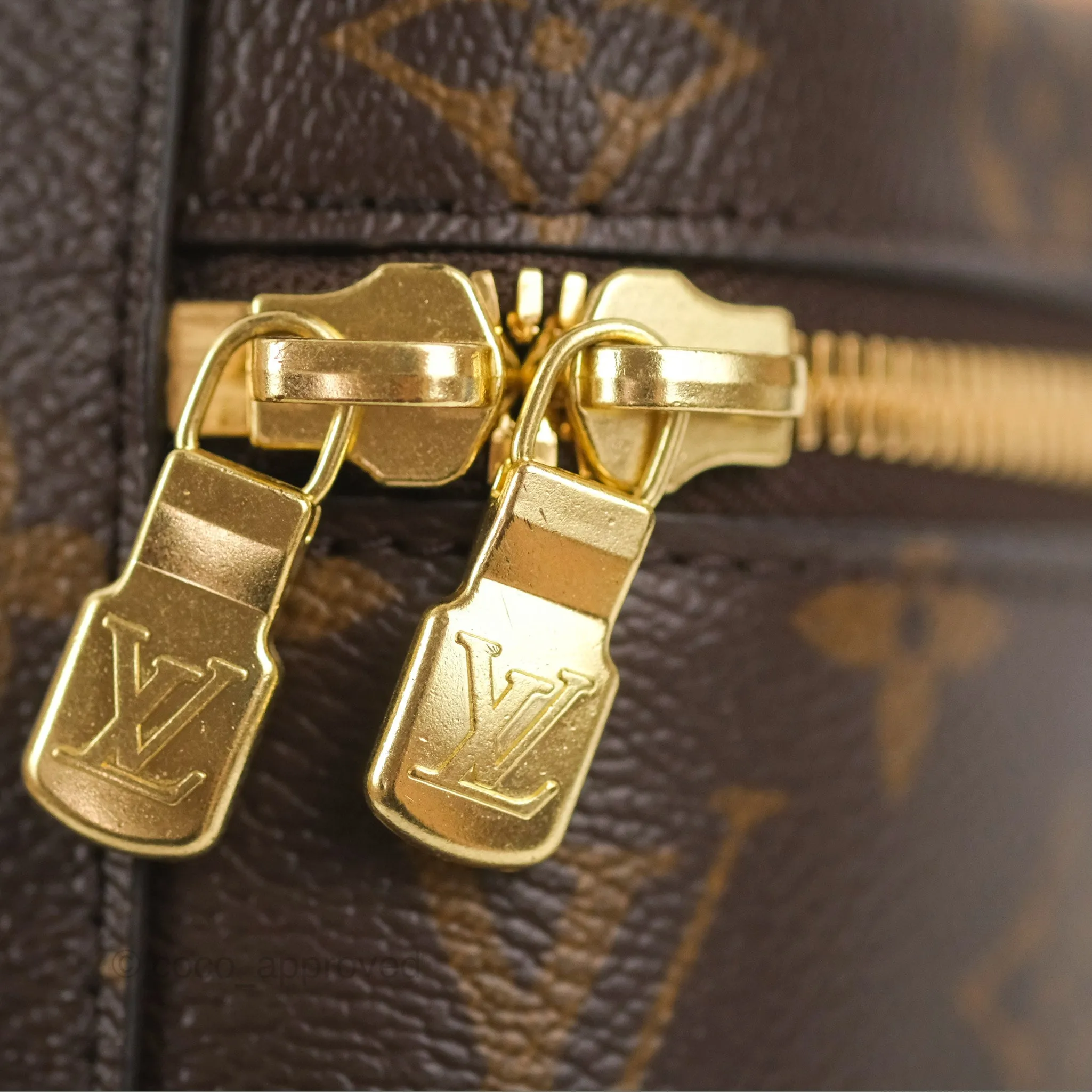 Louis Vuitton Nice Mini Monogram Canvas