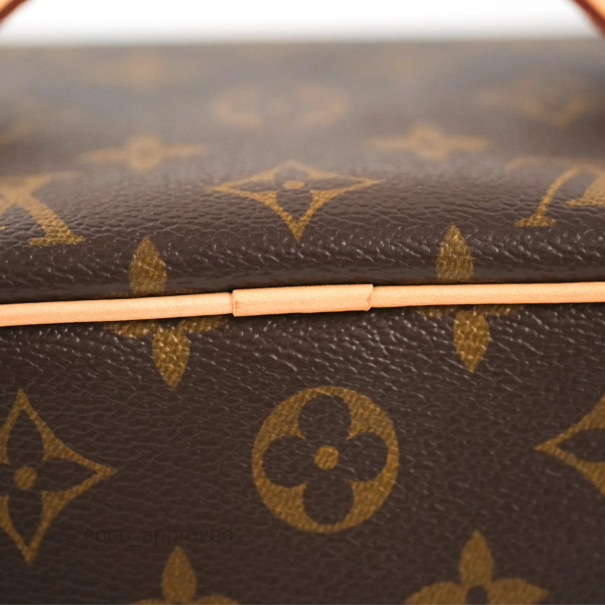 Louis Vuitton Nice Mini Monogram Canvas