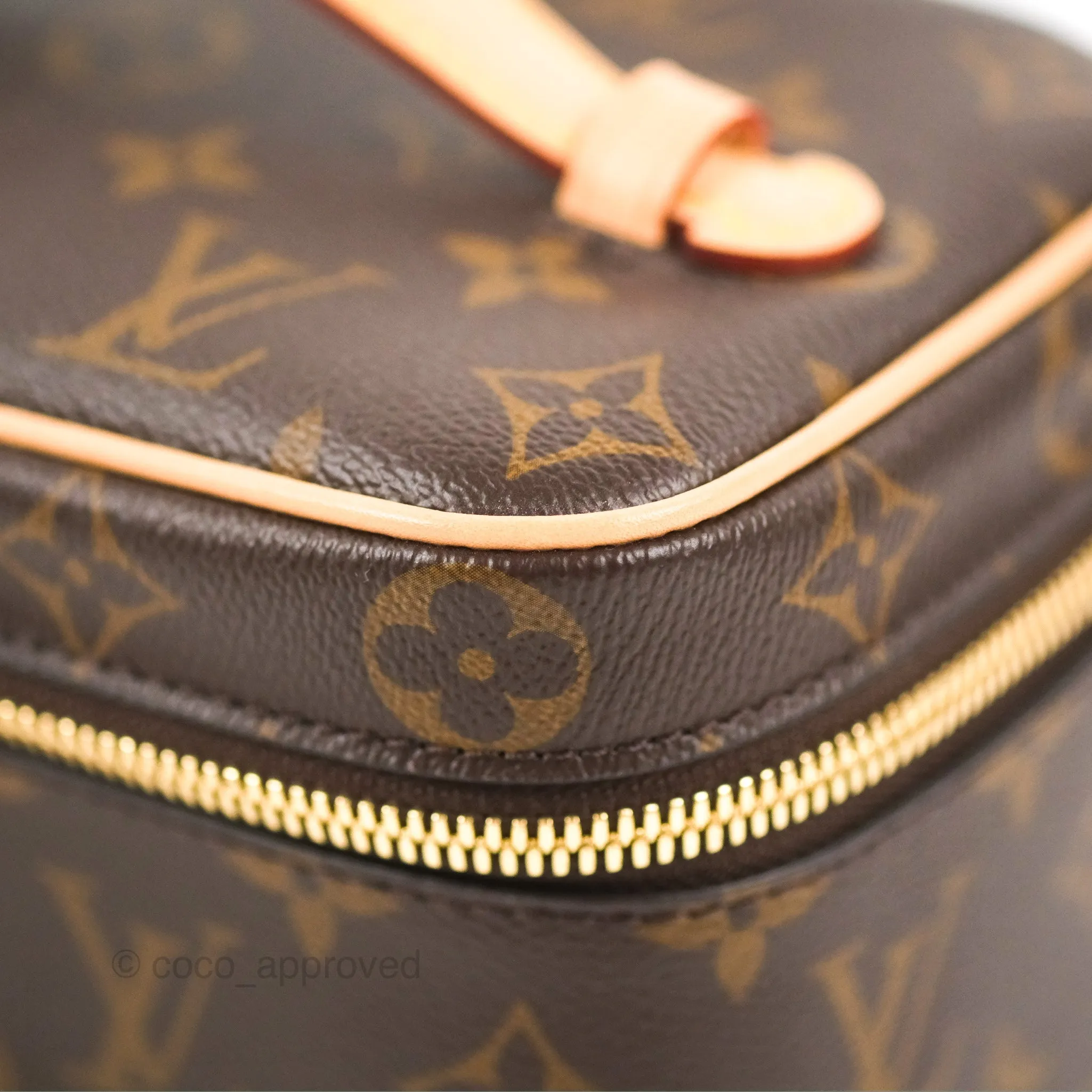 Louis Vuitton Nice Mini Monogram Canvas
