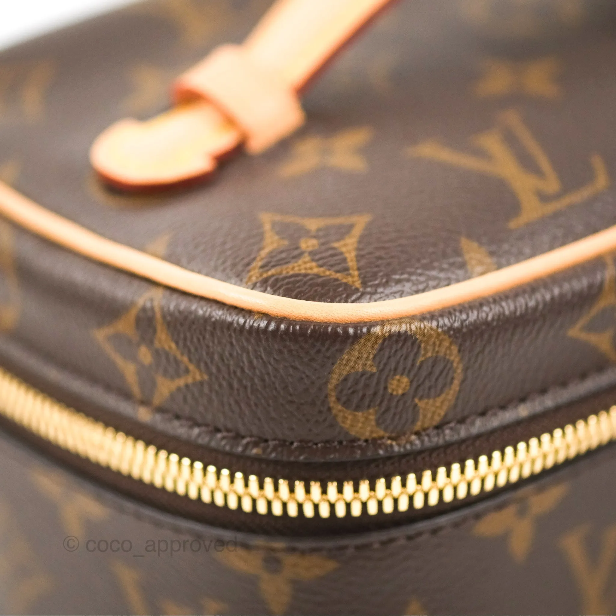Louis Vuitton Nice Mini Monogram Canvas