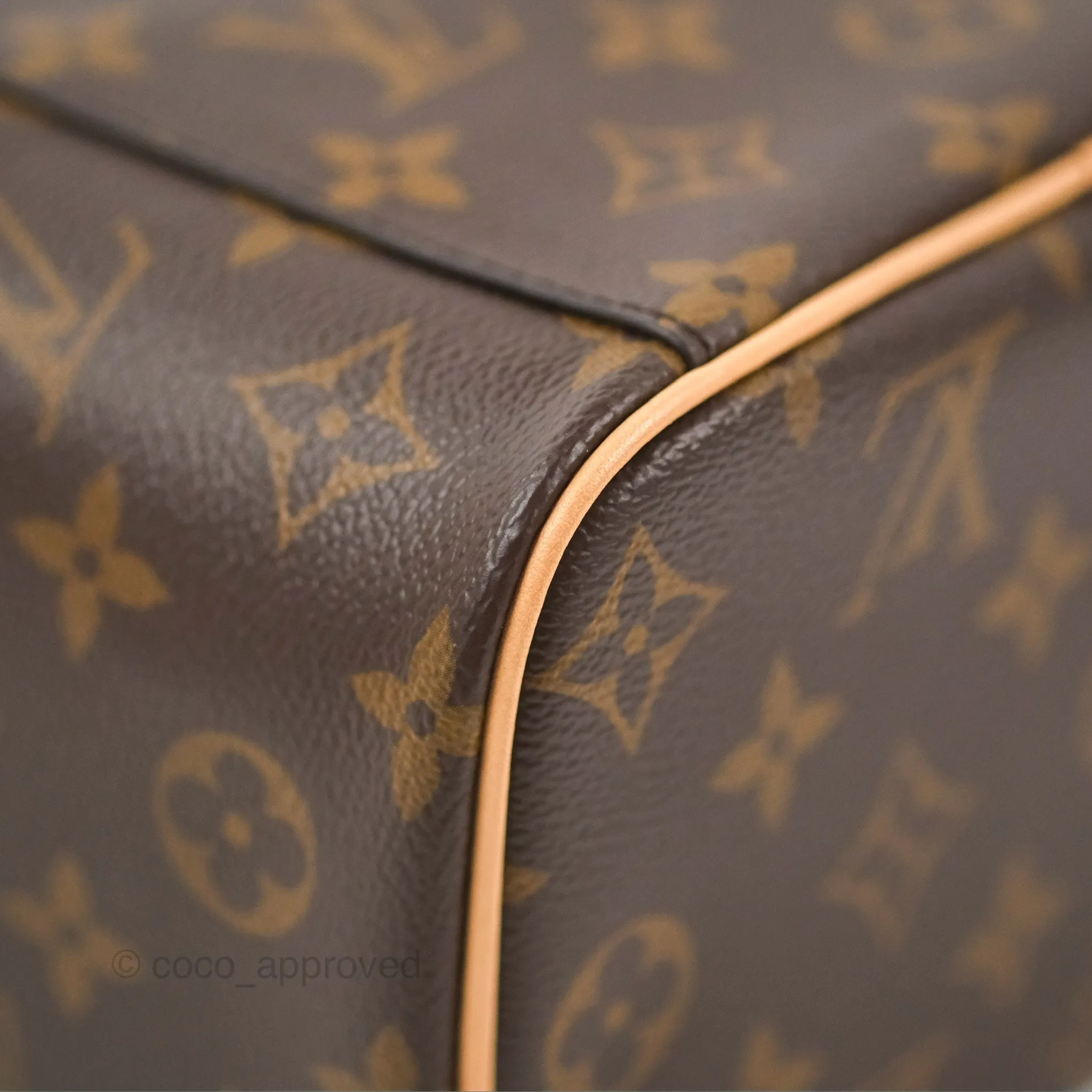 Louis Vuitton Nice Mini Monogram Canvas