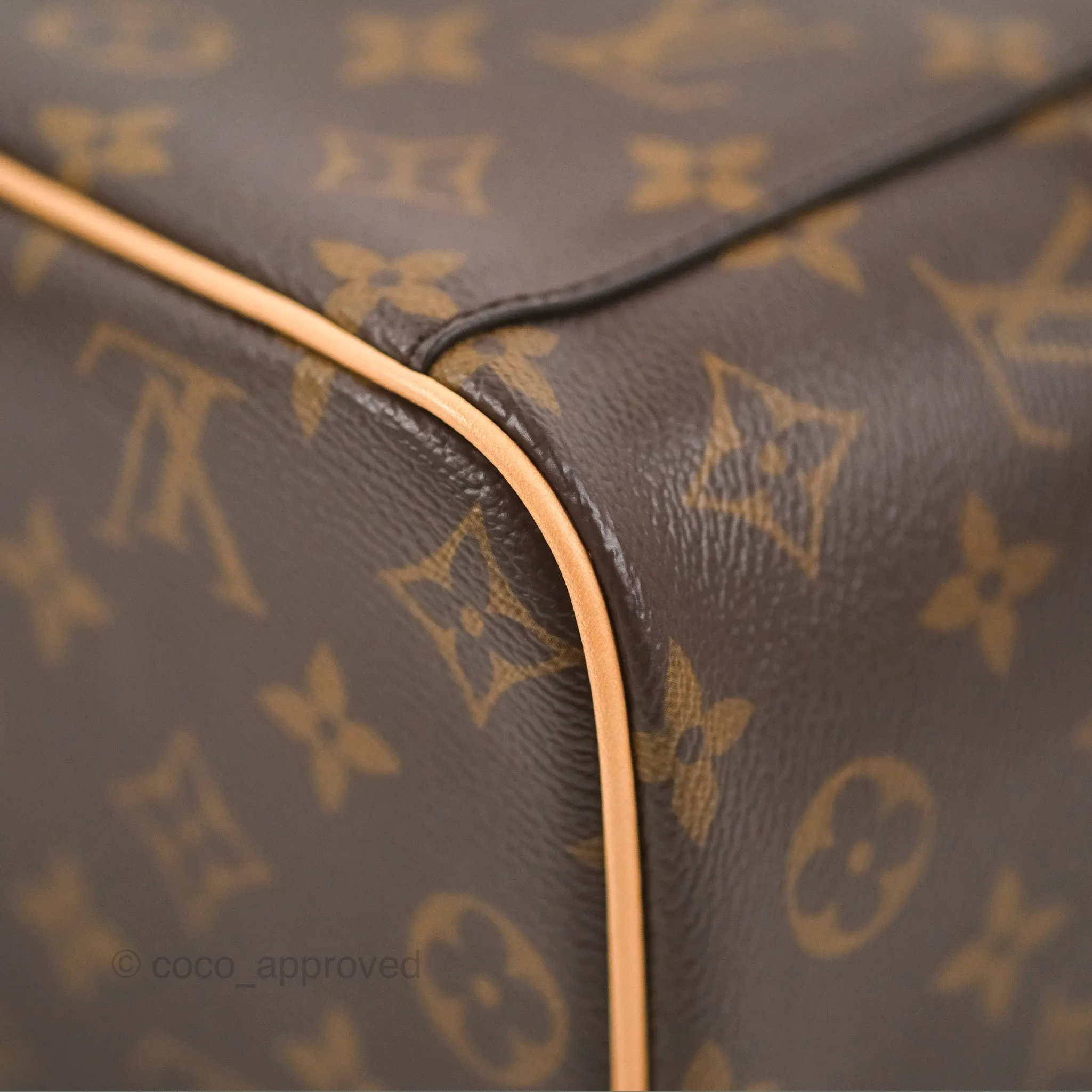 Louis Vuitton Nice Mini Monogram Canvas