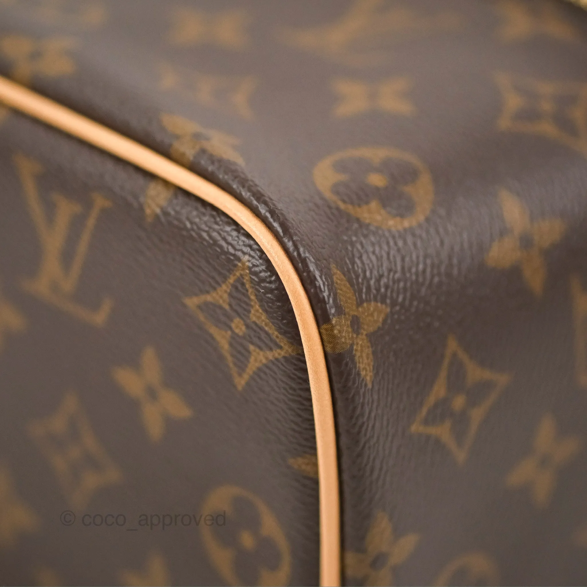 Louis Vuitton Nice Mini Monogram Canvas