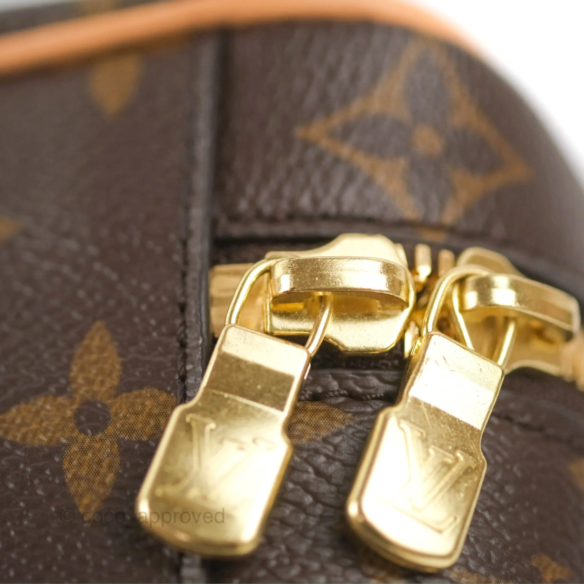 Louis Vuitton Nice Mini Monogram Canvas